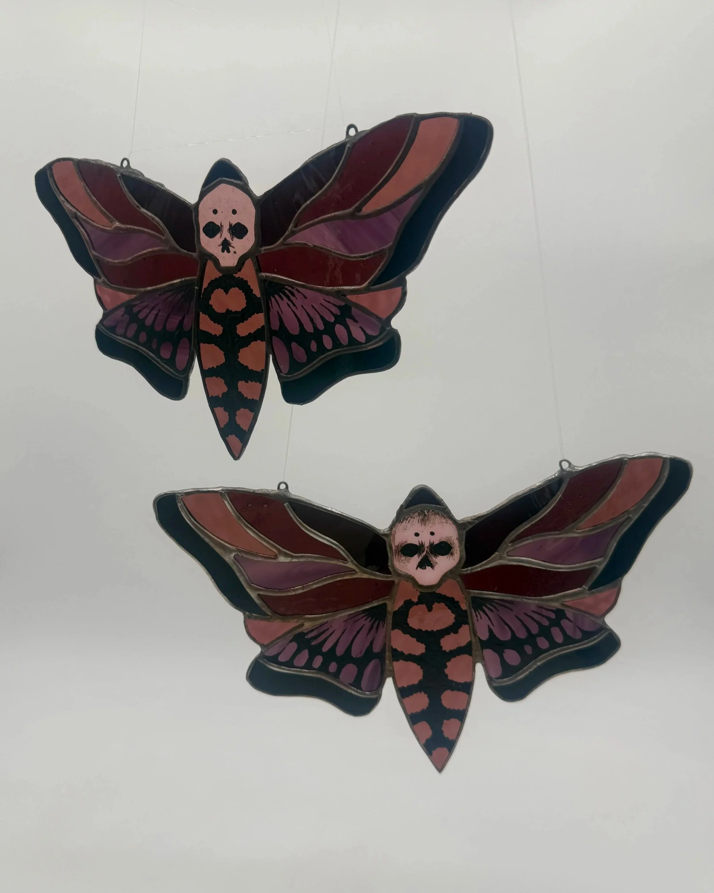 2+pink+moth+.jpg