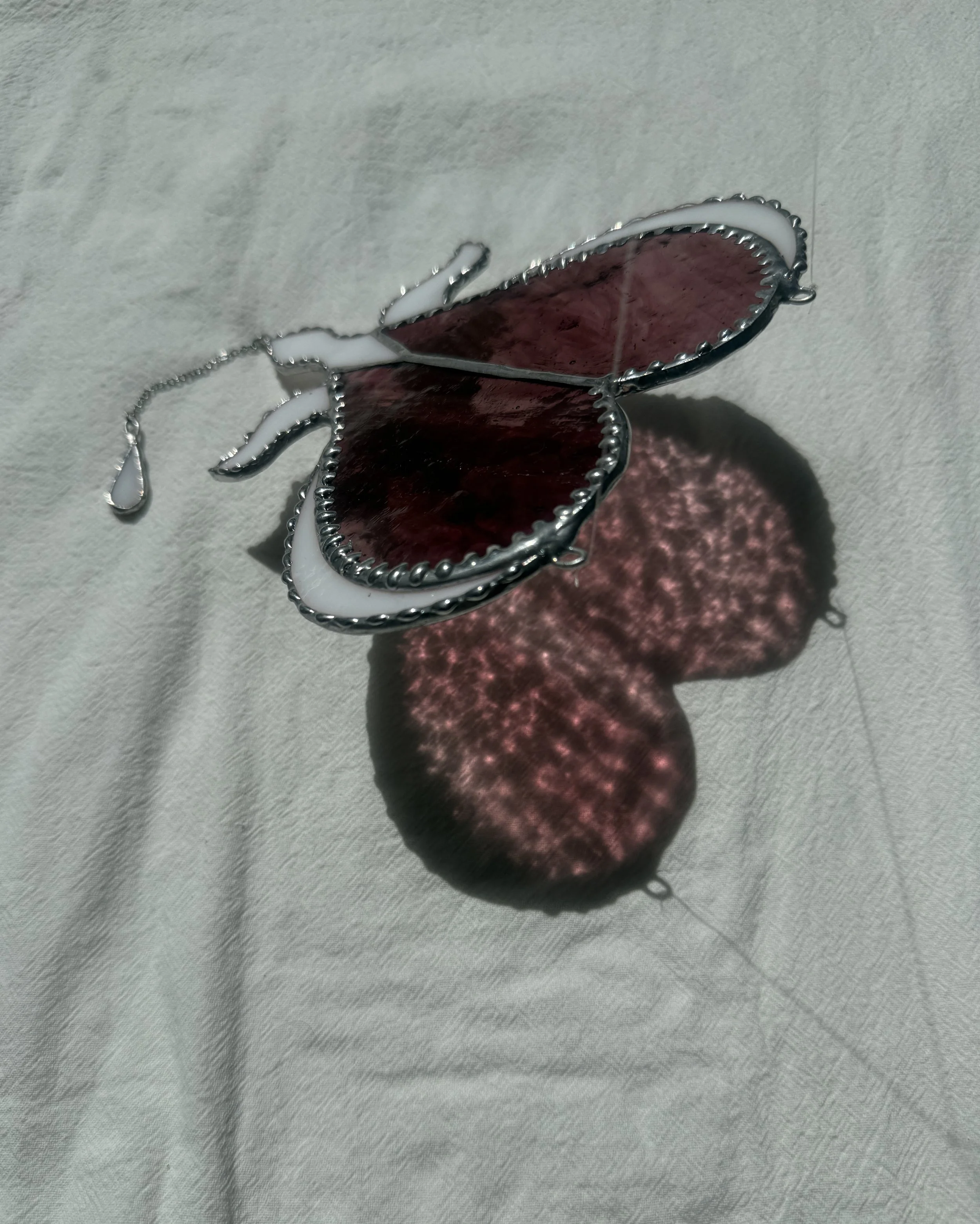 bleeding heart 3.jpg