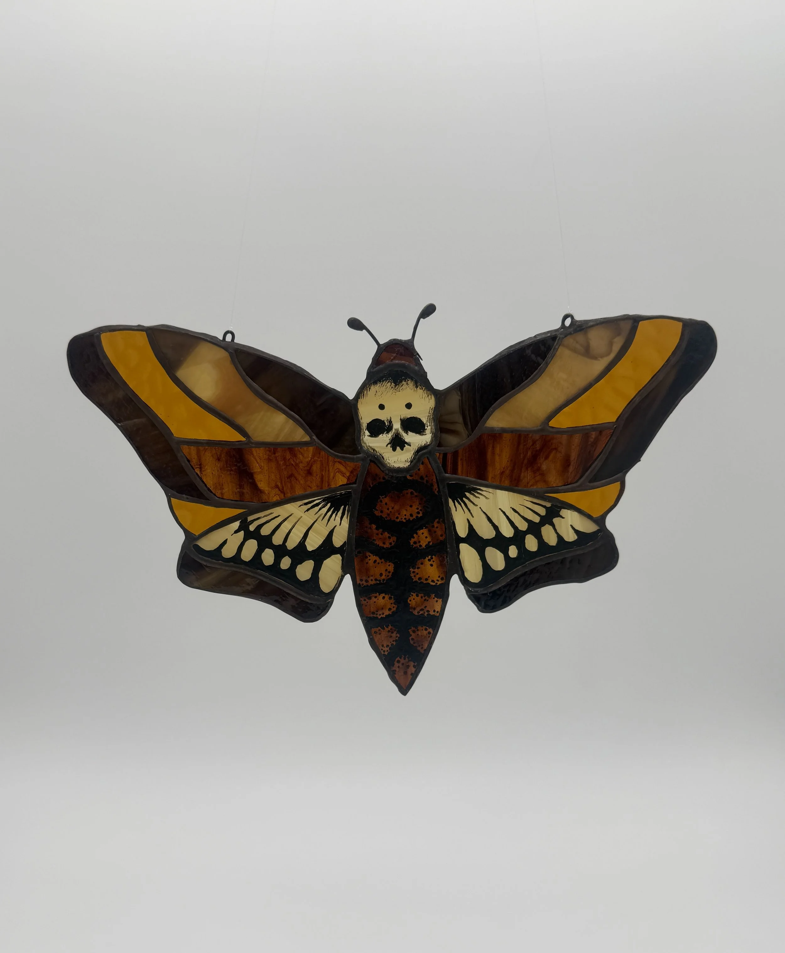 Death's Head Hawk-Moth
