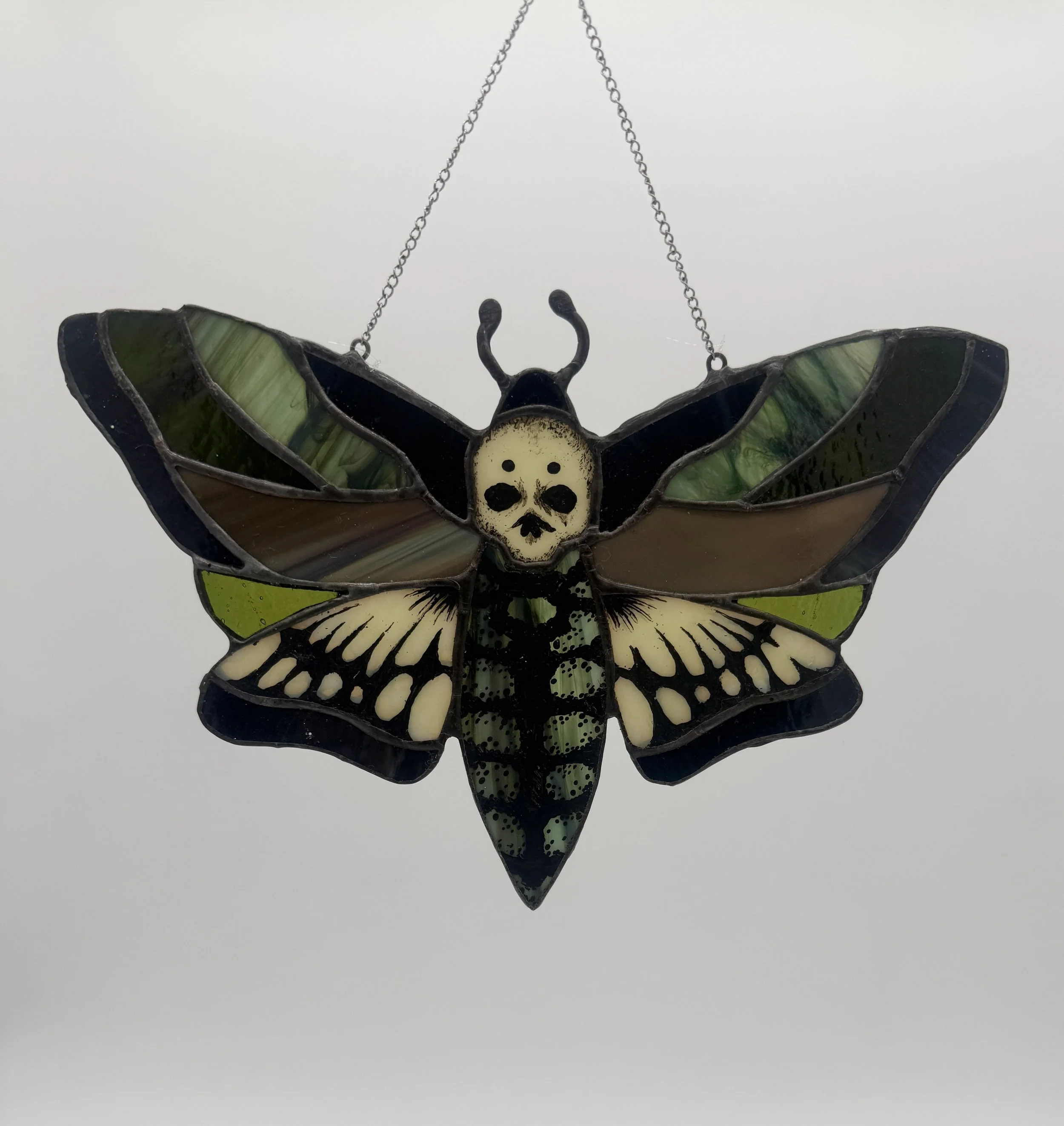 Death's-head Hawkmoth