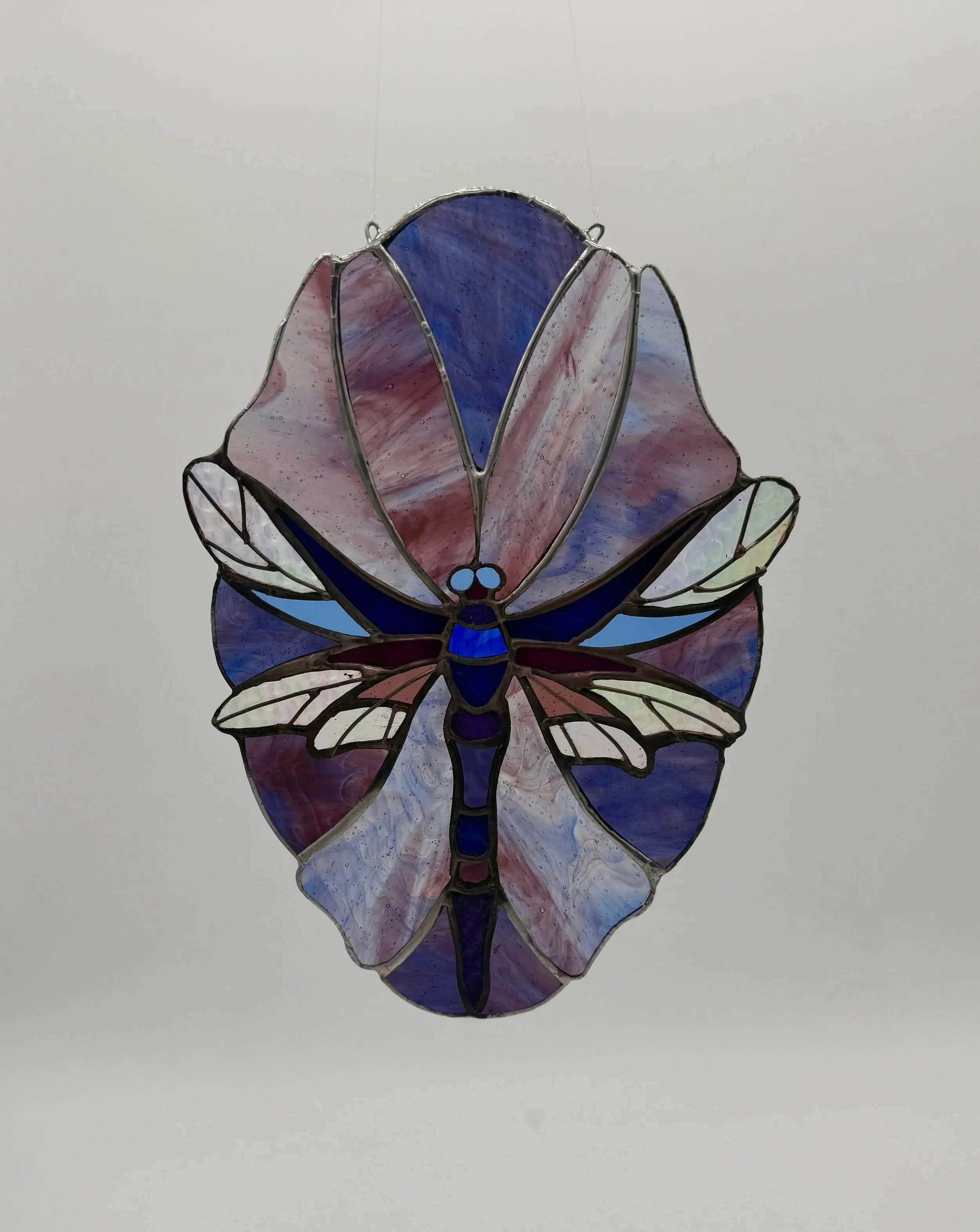 blue+dragonfly+real.jpg