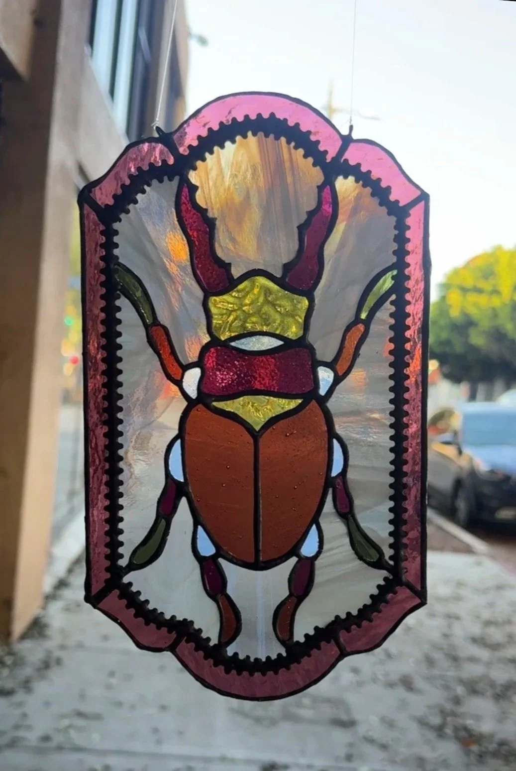 stag+beetle+4.jpg