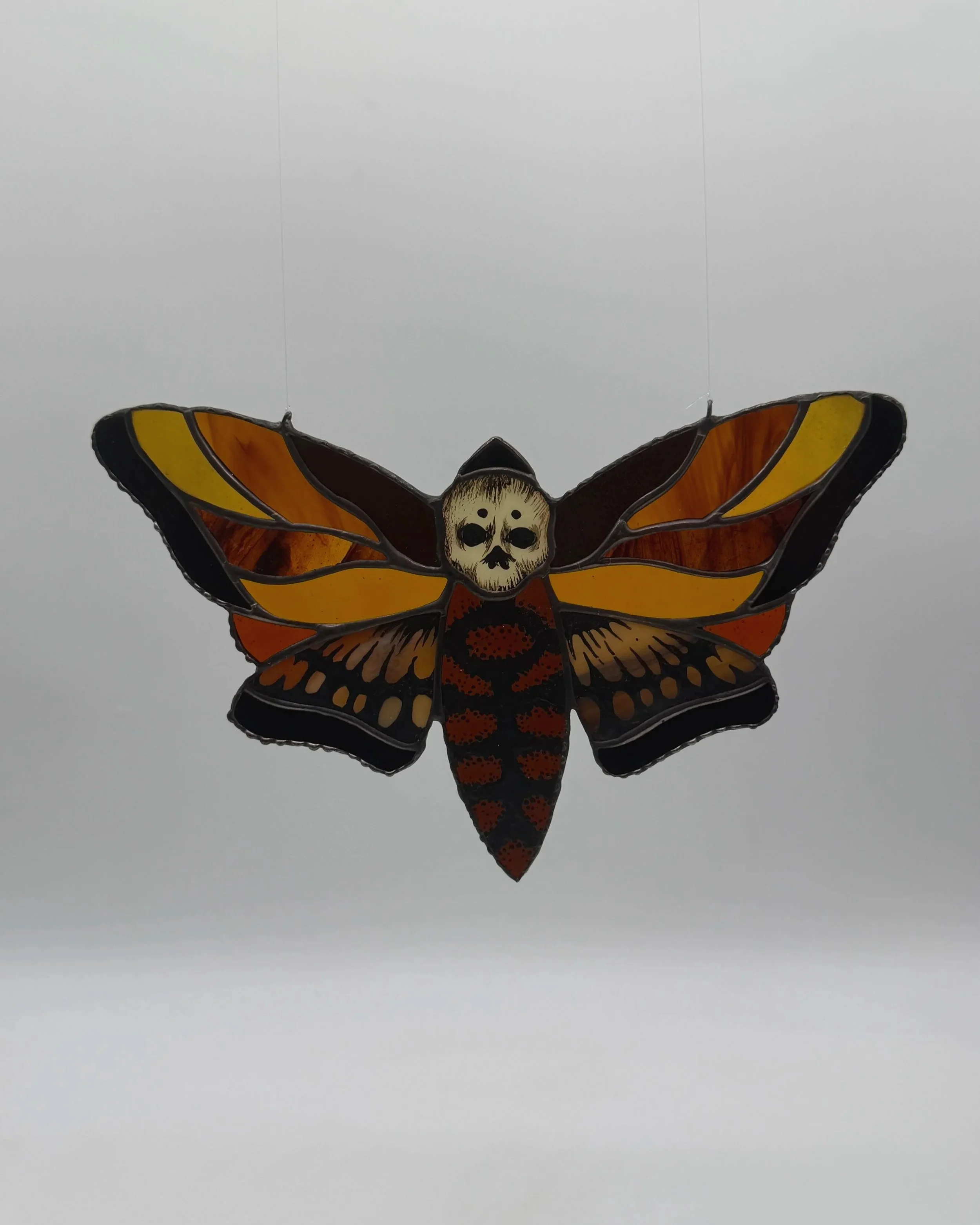 orange+moth+2.jpg