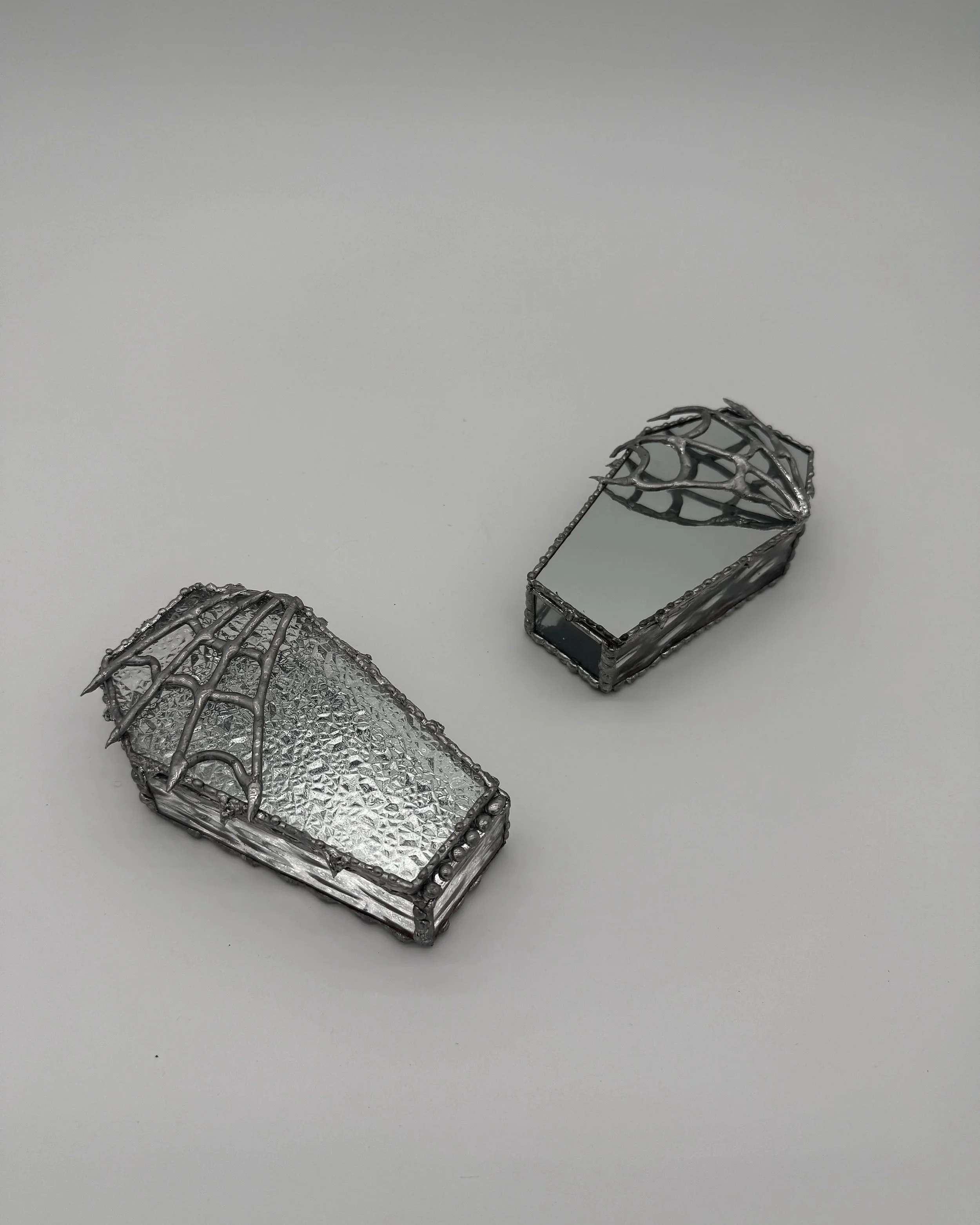 two+glass+coffins.jpg