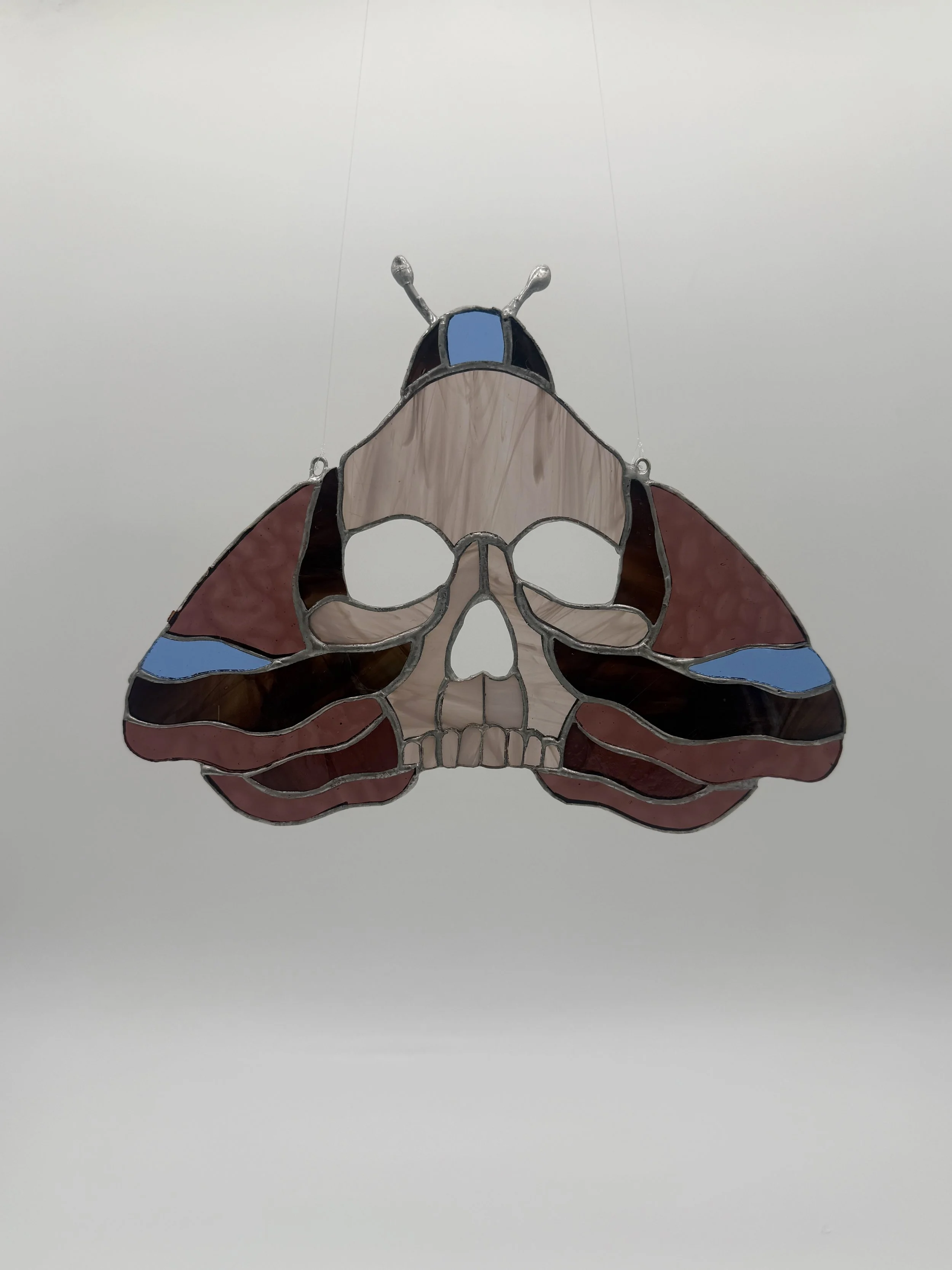 Skull Moth