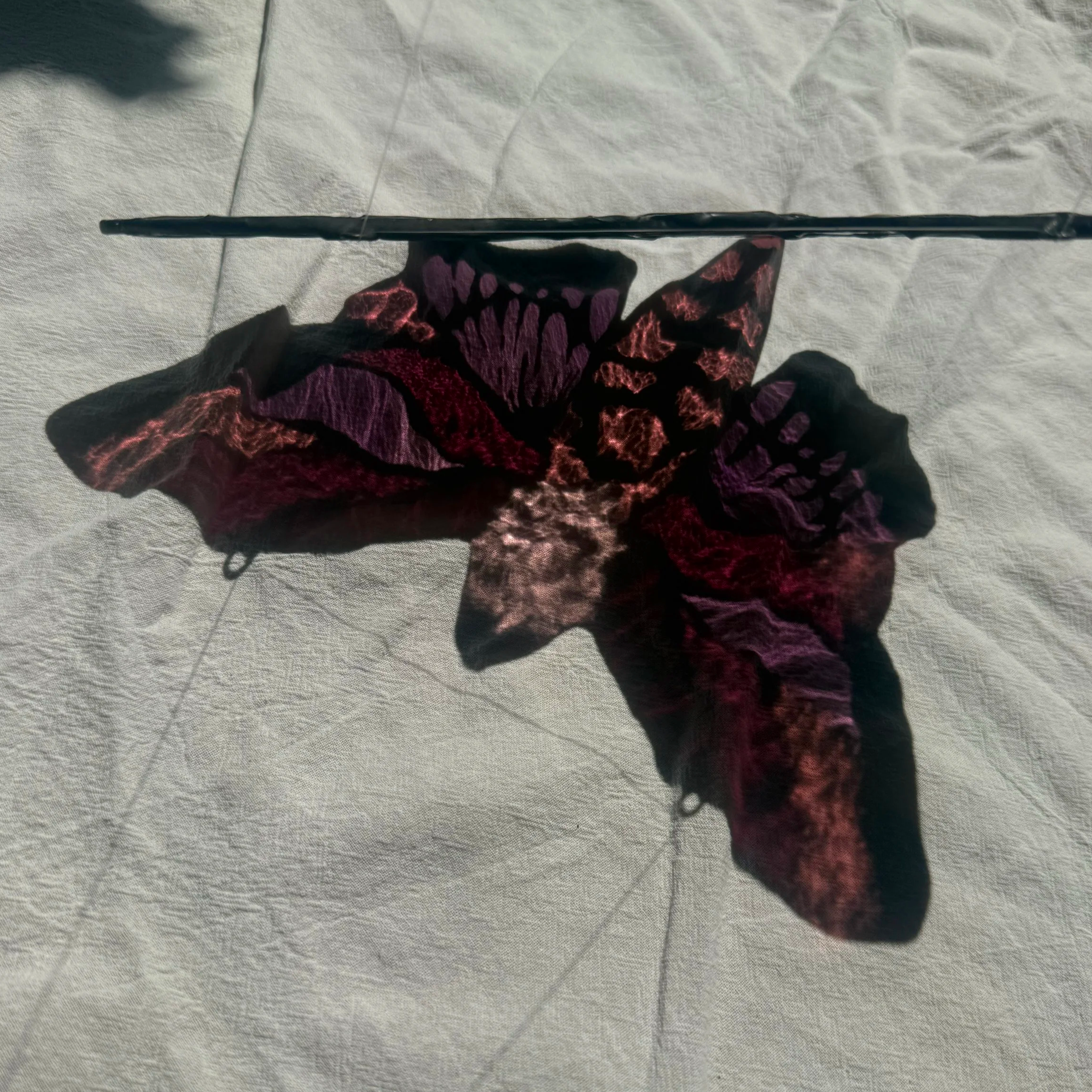 pink+moth+reflect.png
