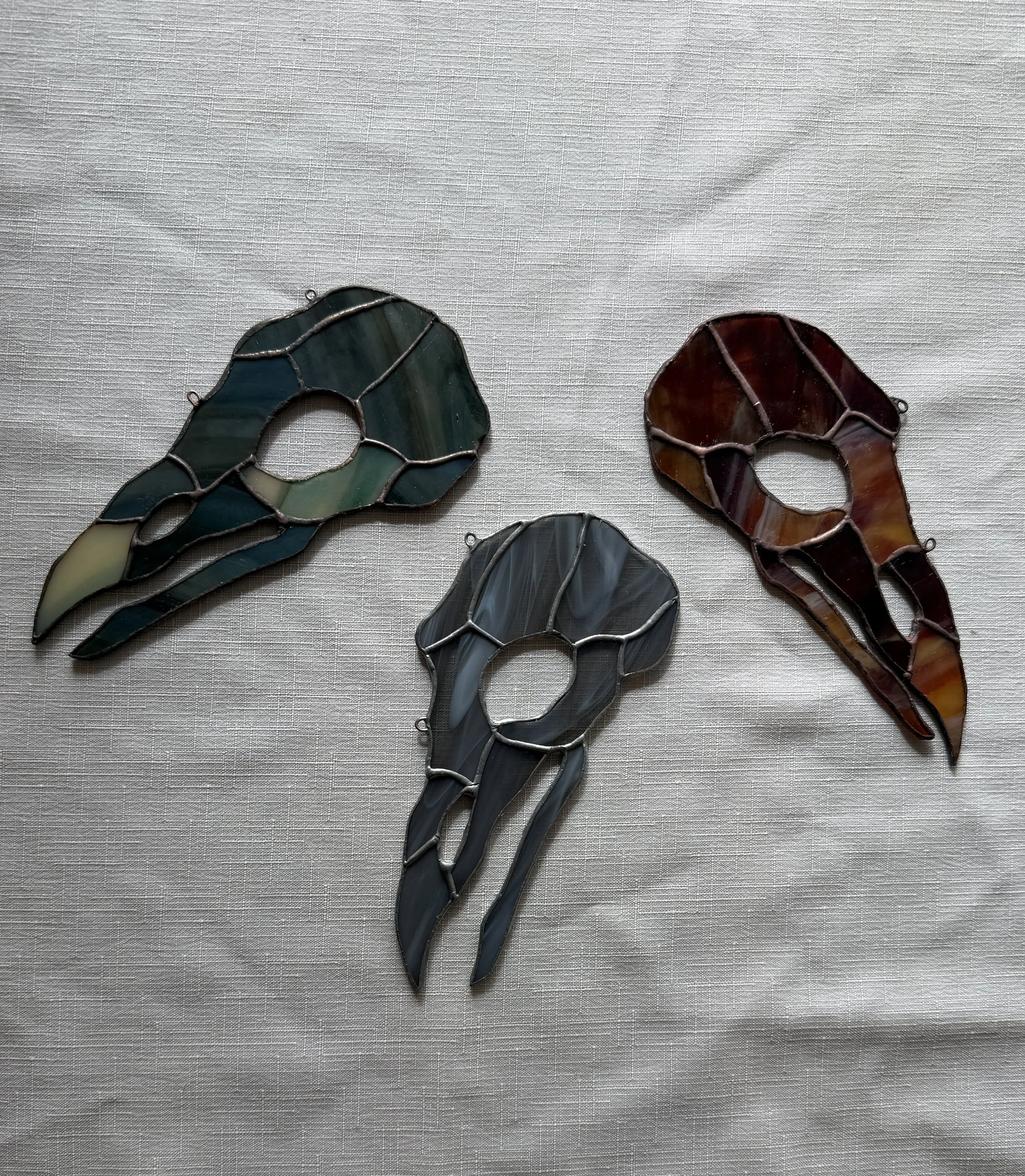 corvid skulls.jpg