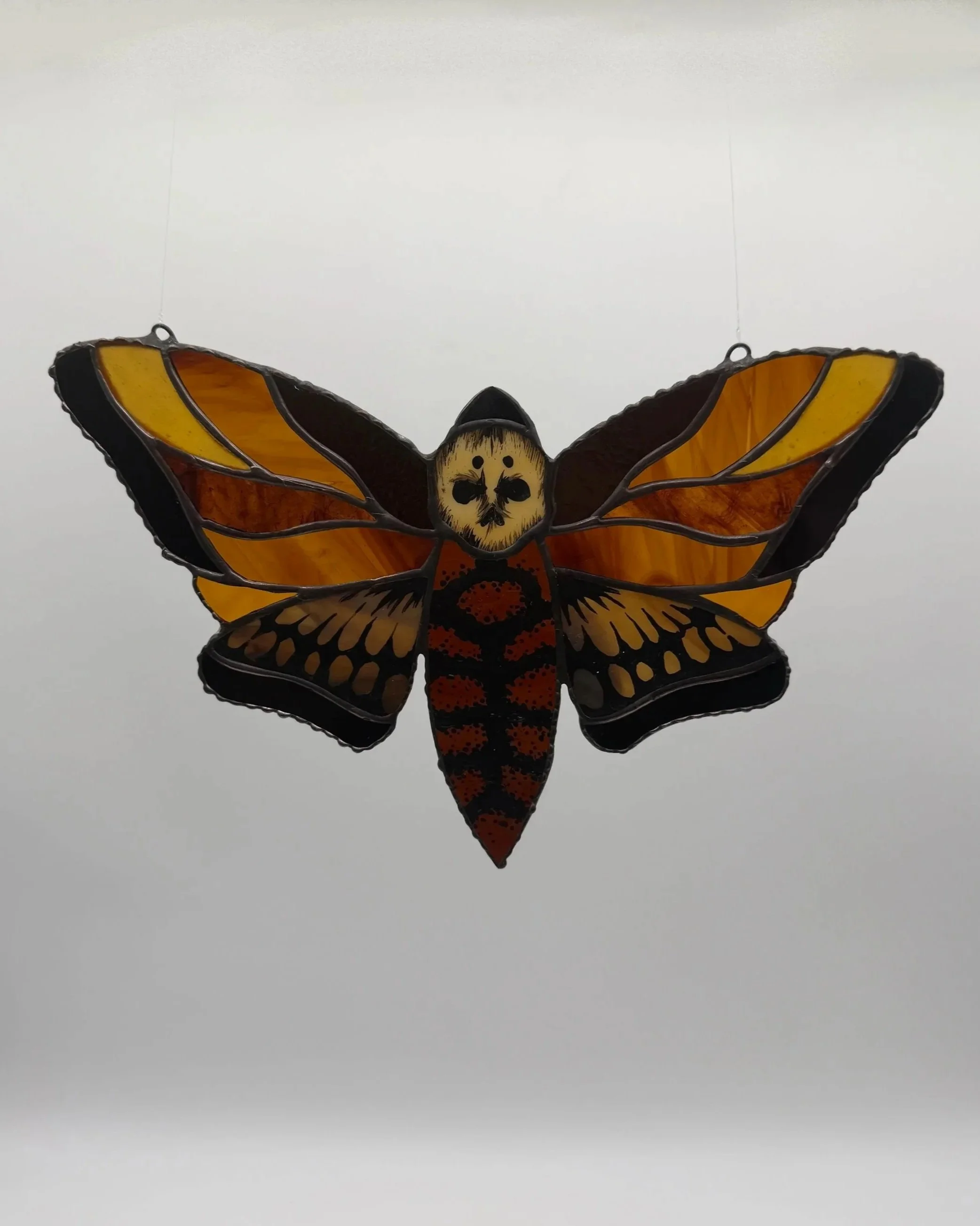 orange%2Bmoth%2B1.jpg