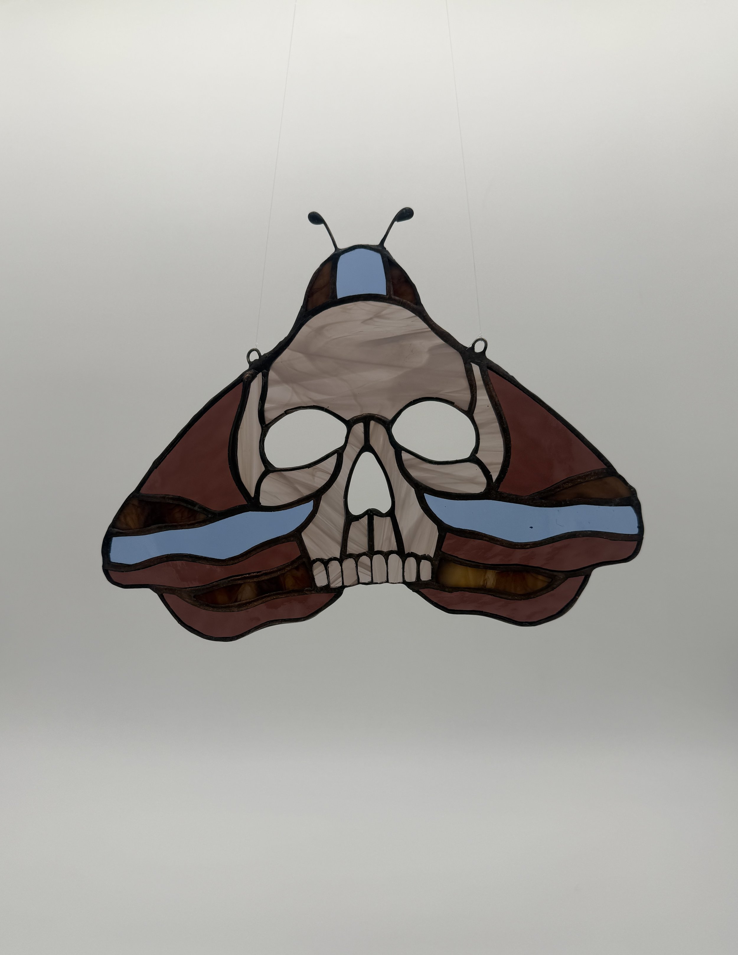 Skull Moth