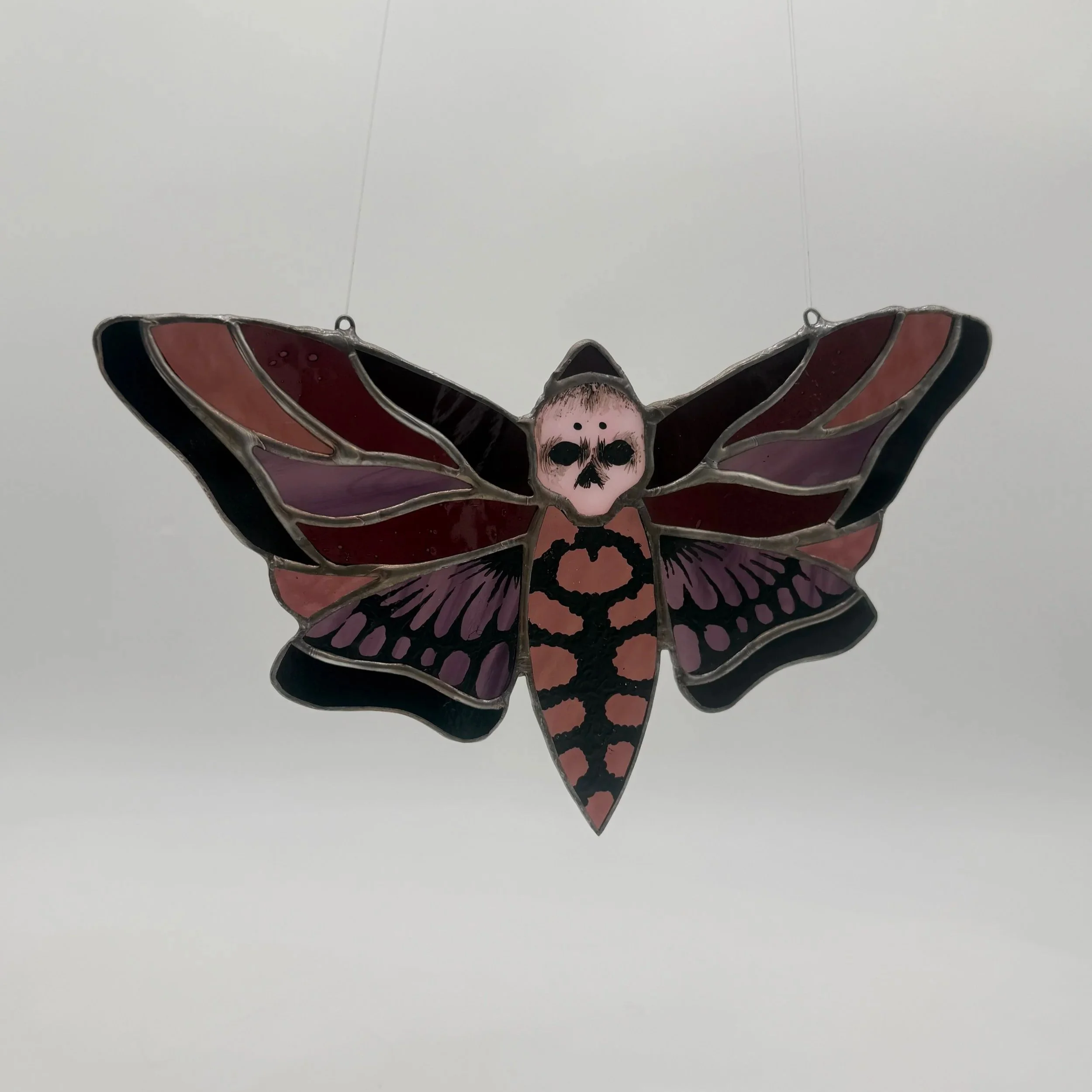 pink+moth+.jpg