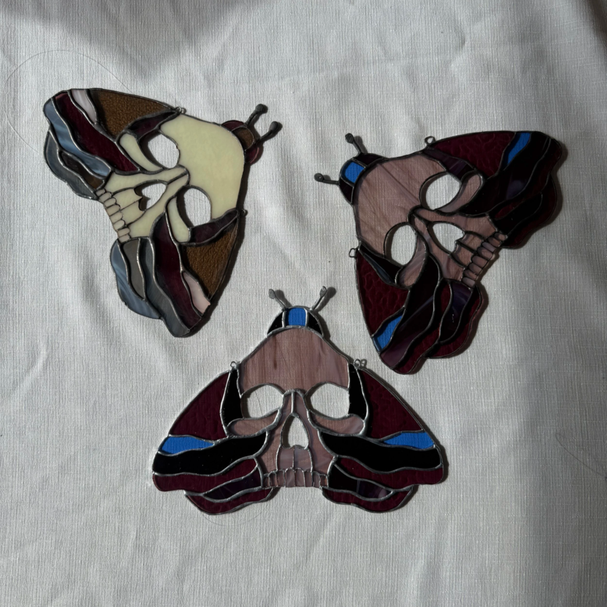 moth+3.png