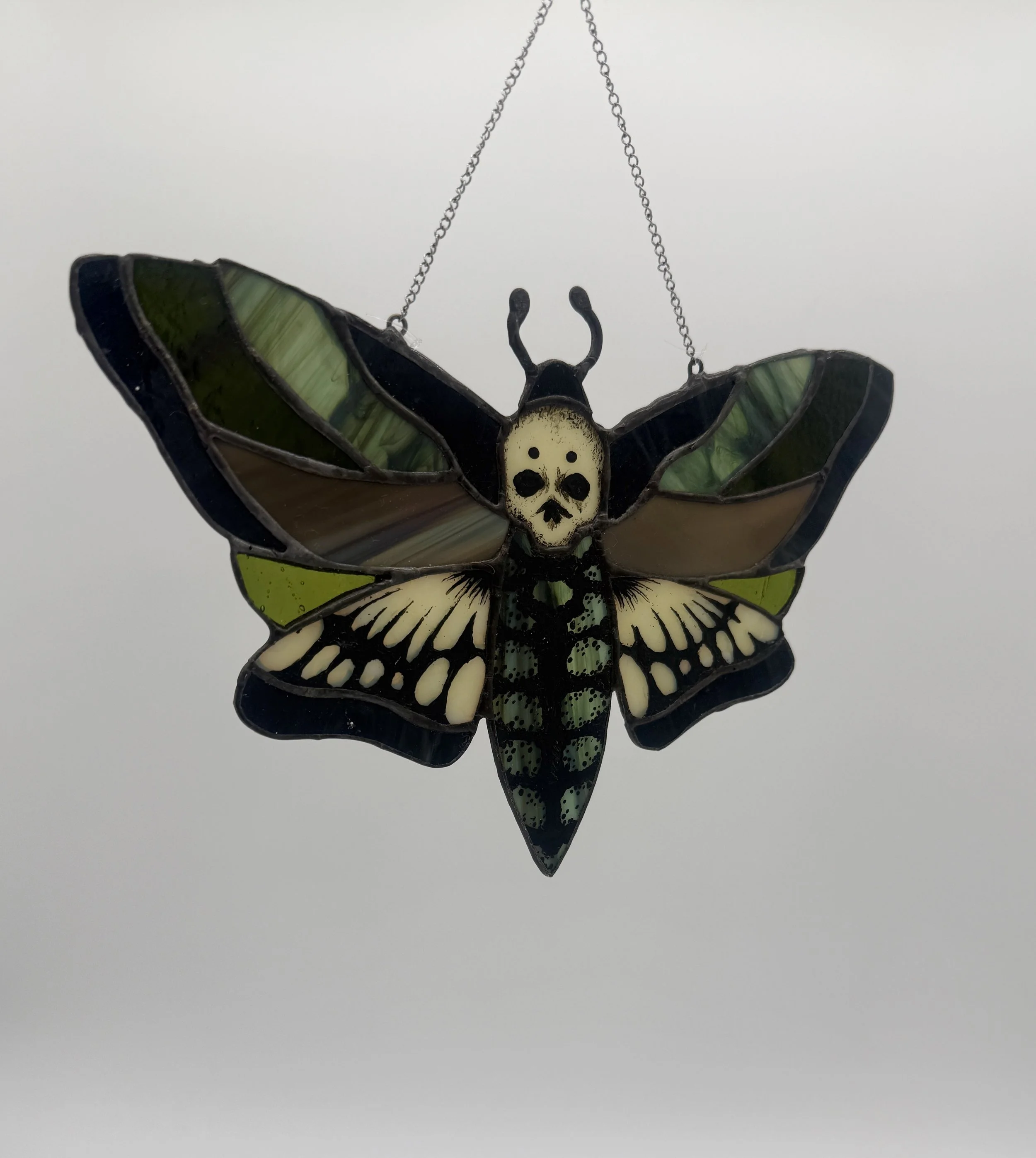 green moth 2.jpg