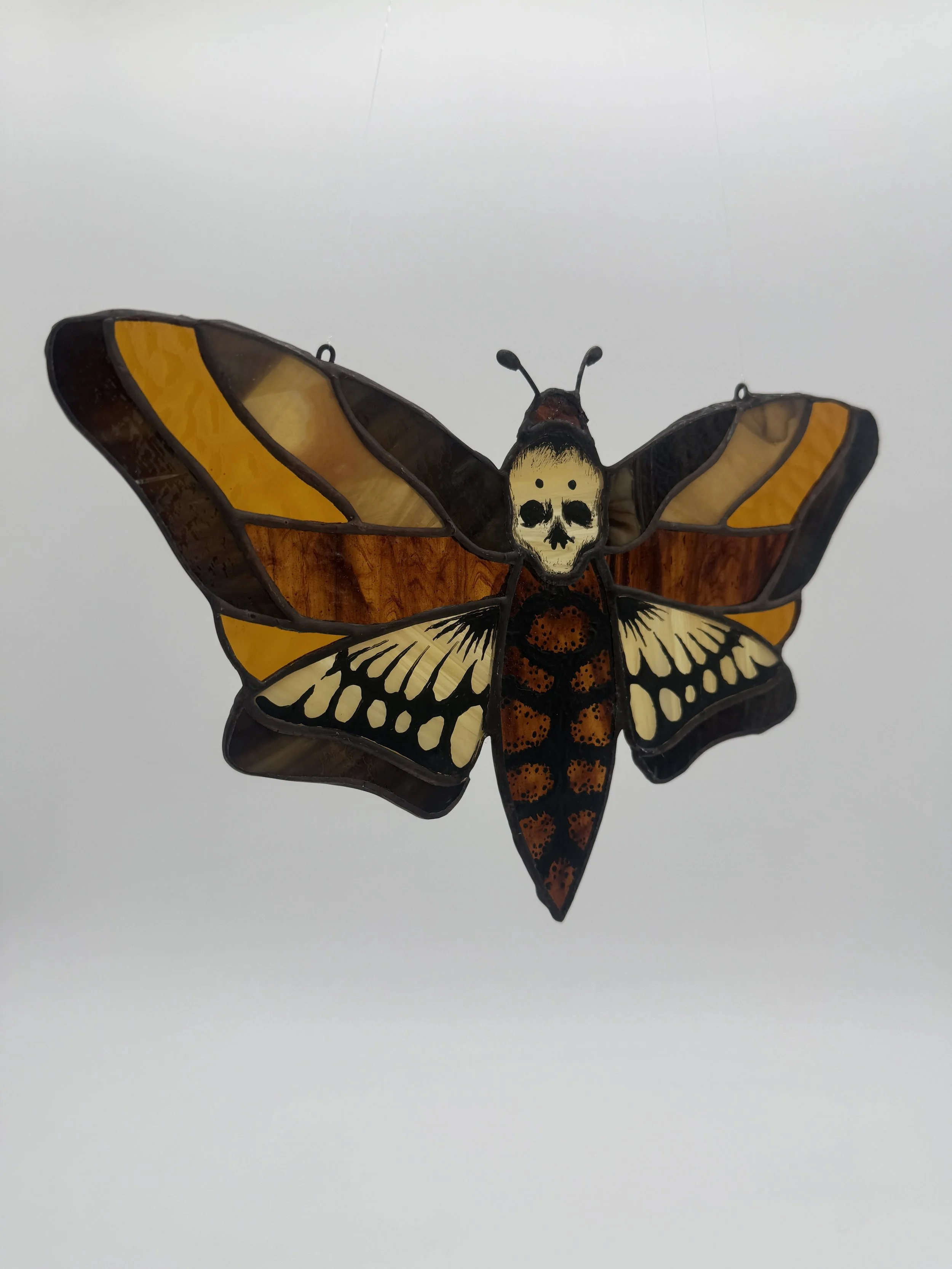 moth glass 2.jpg