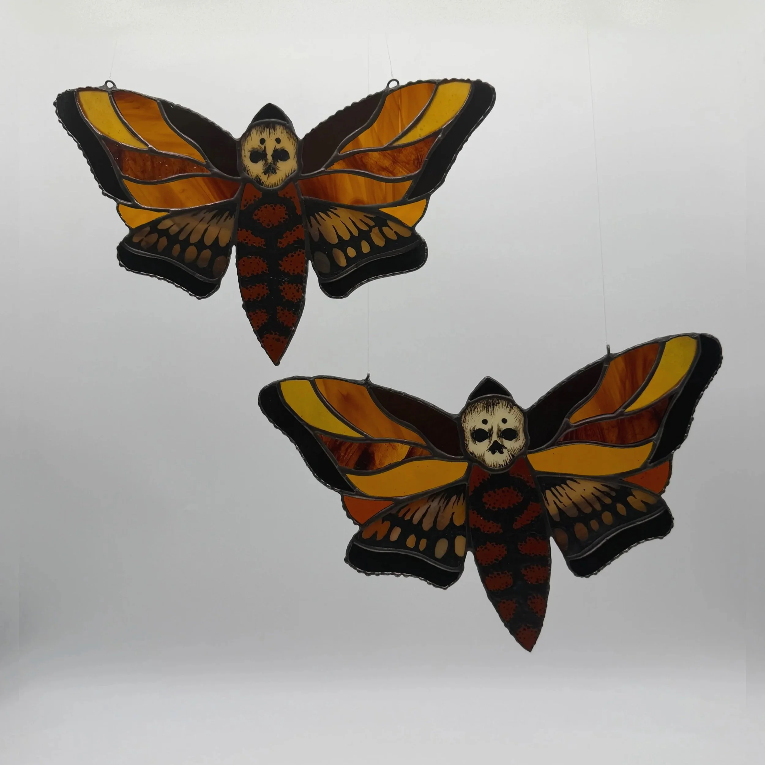 Death's Head Hawkmoth