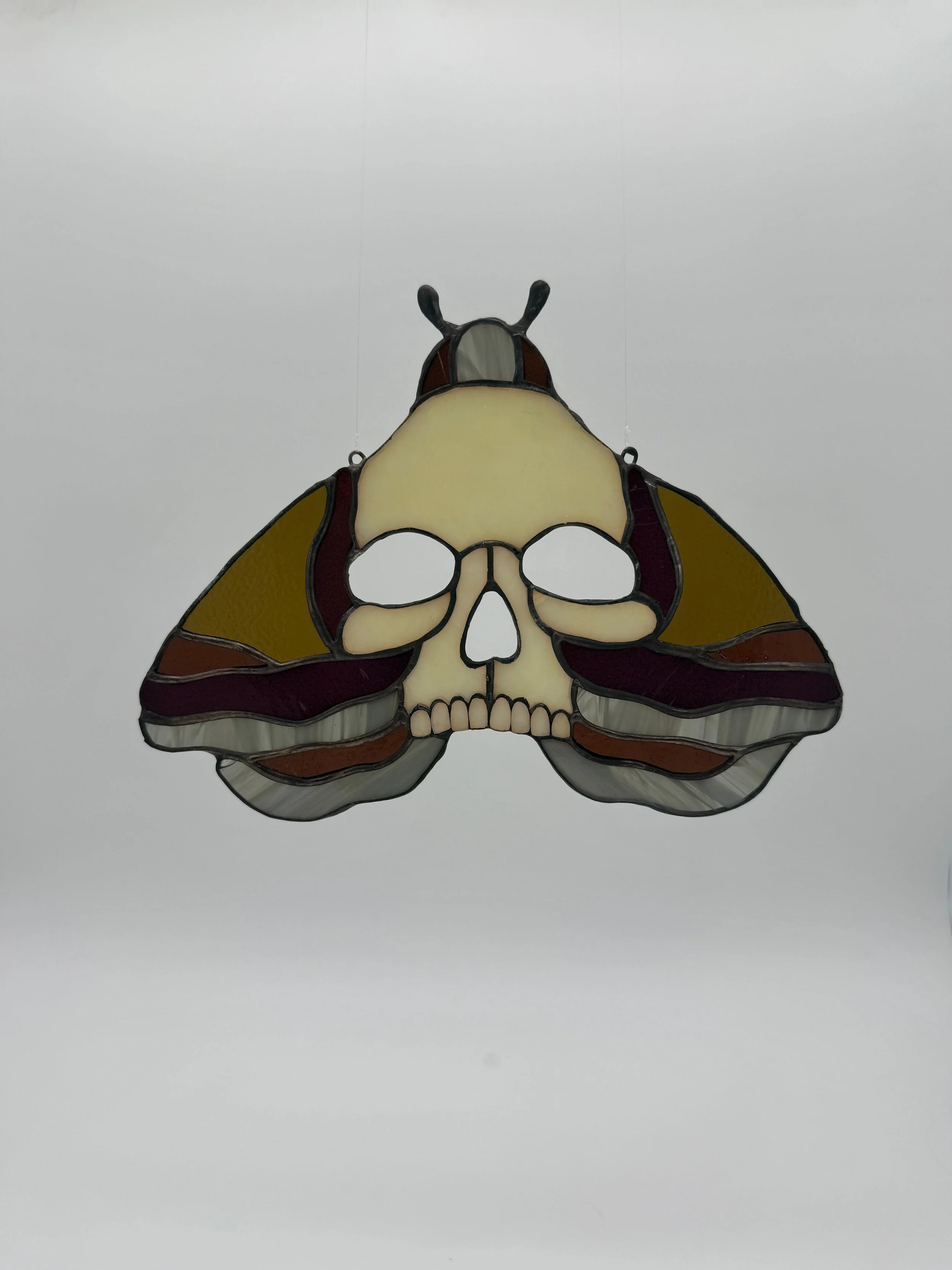 green skull moth.JPEG