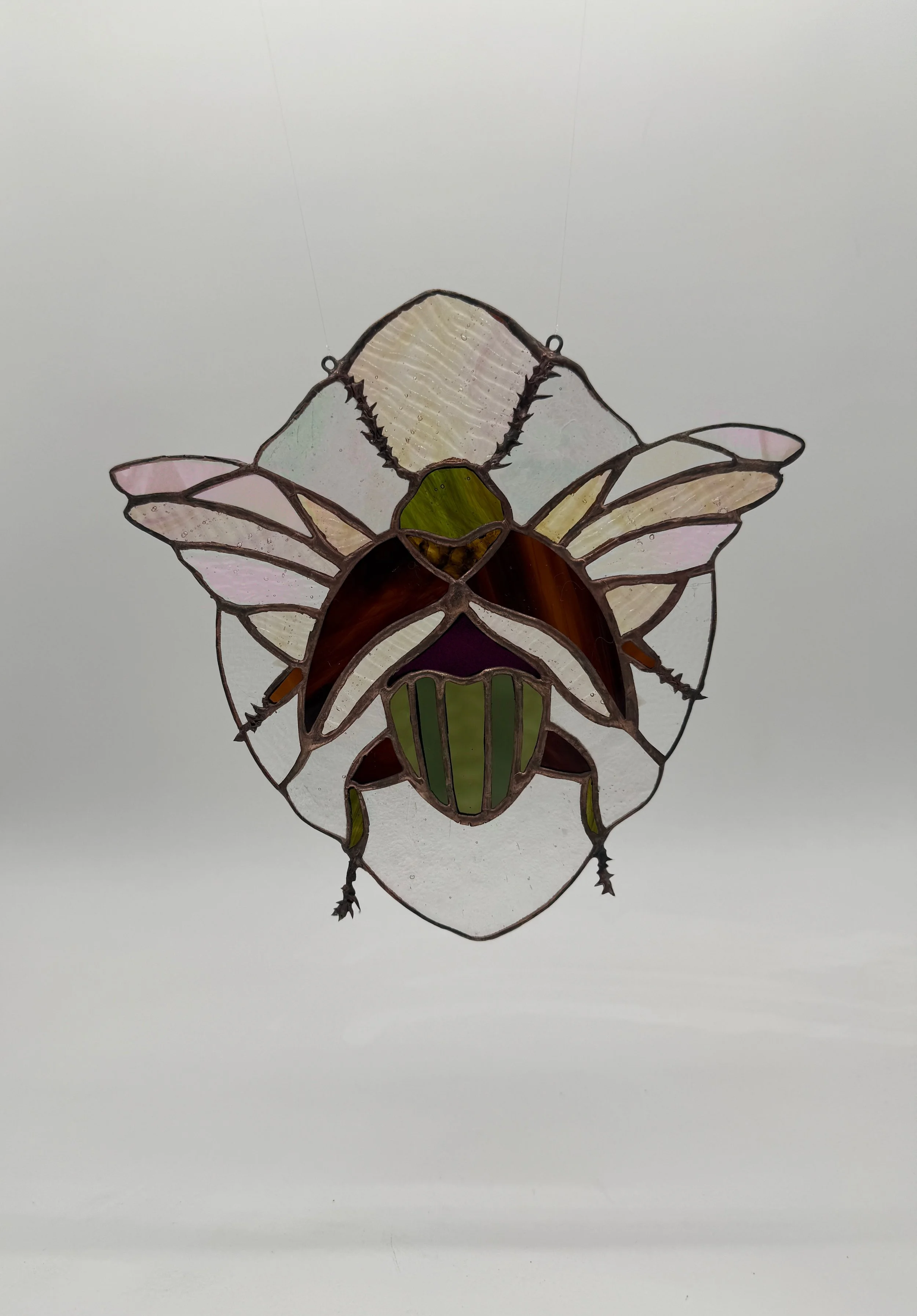 Stained Glass Beetle