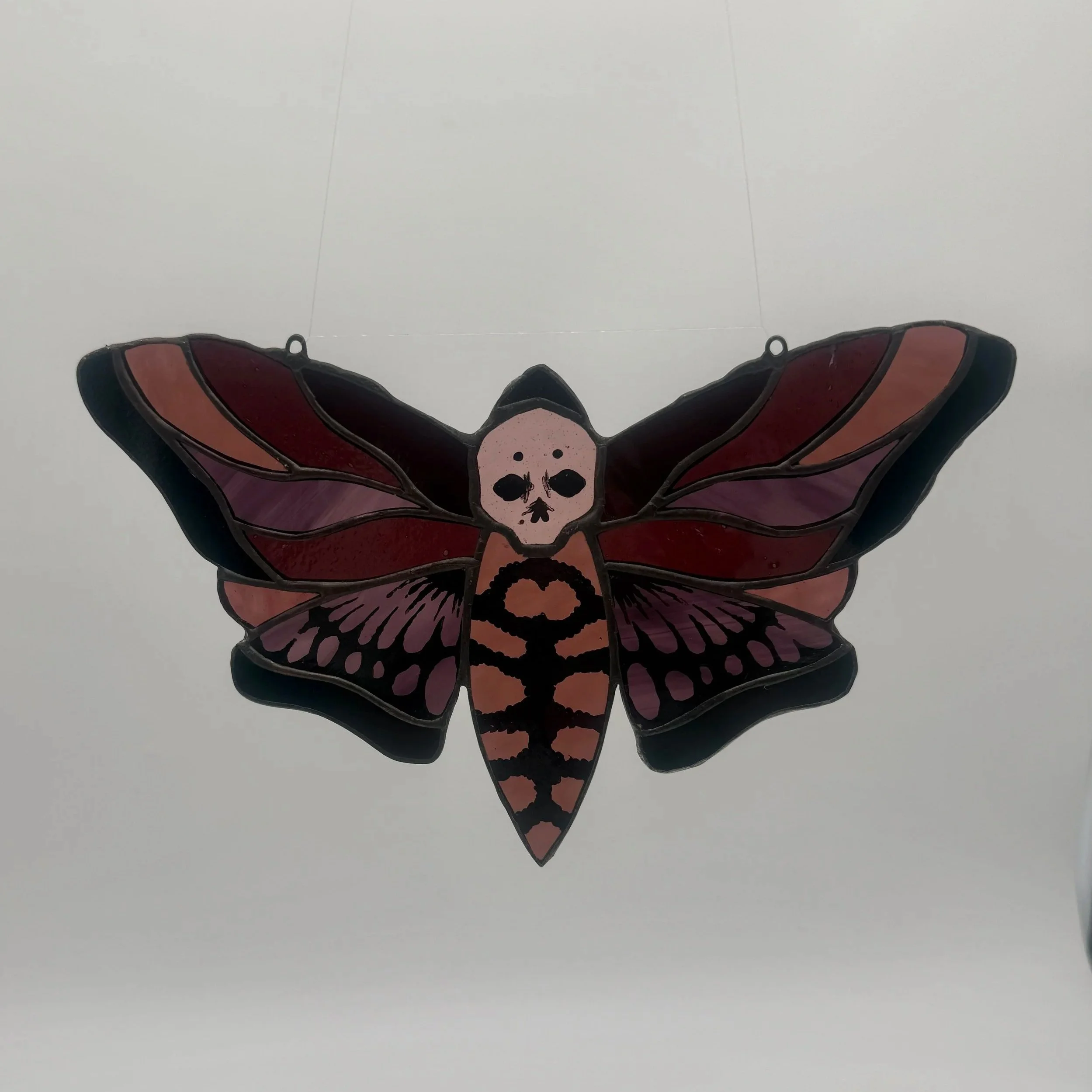 pink+moth+2.jpg