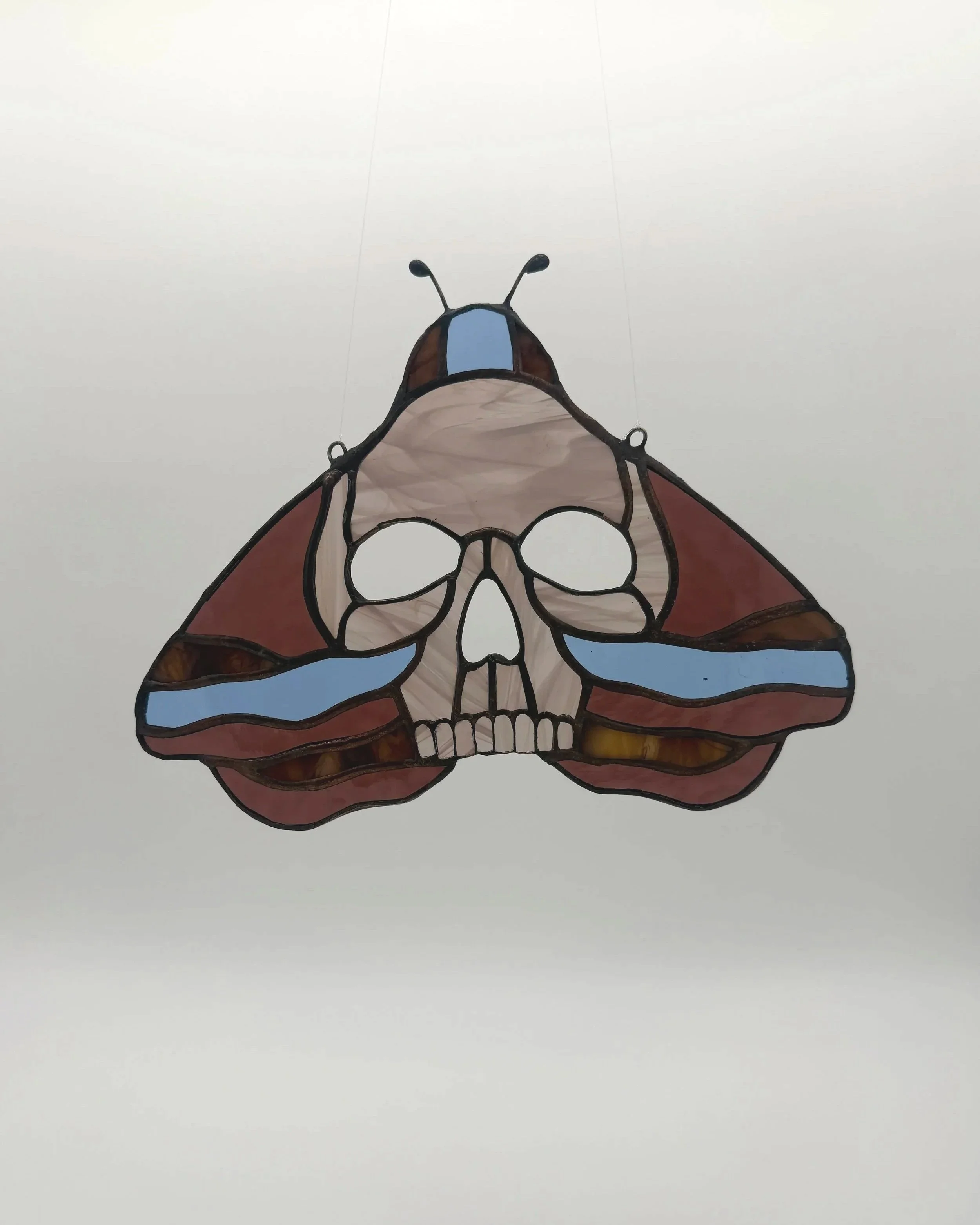 Moth%2B1.jpg