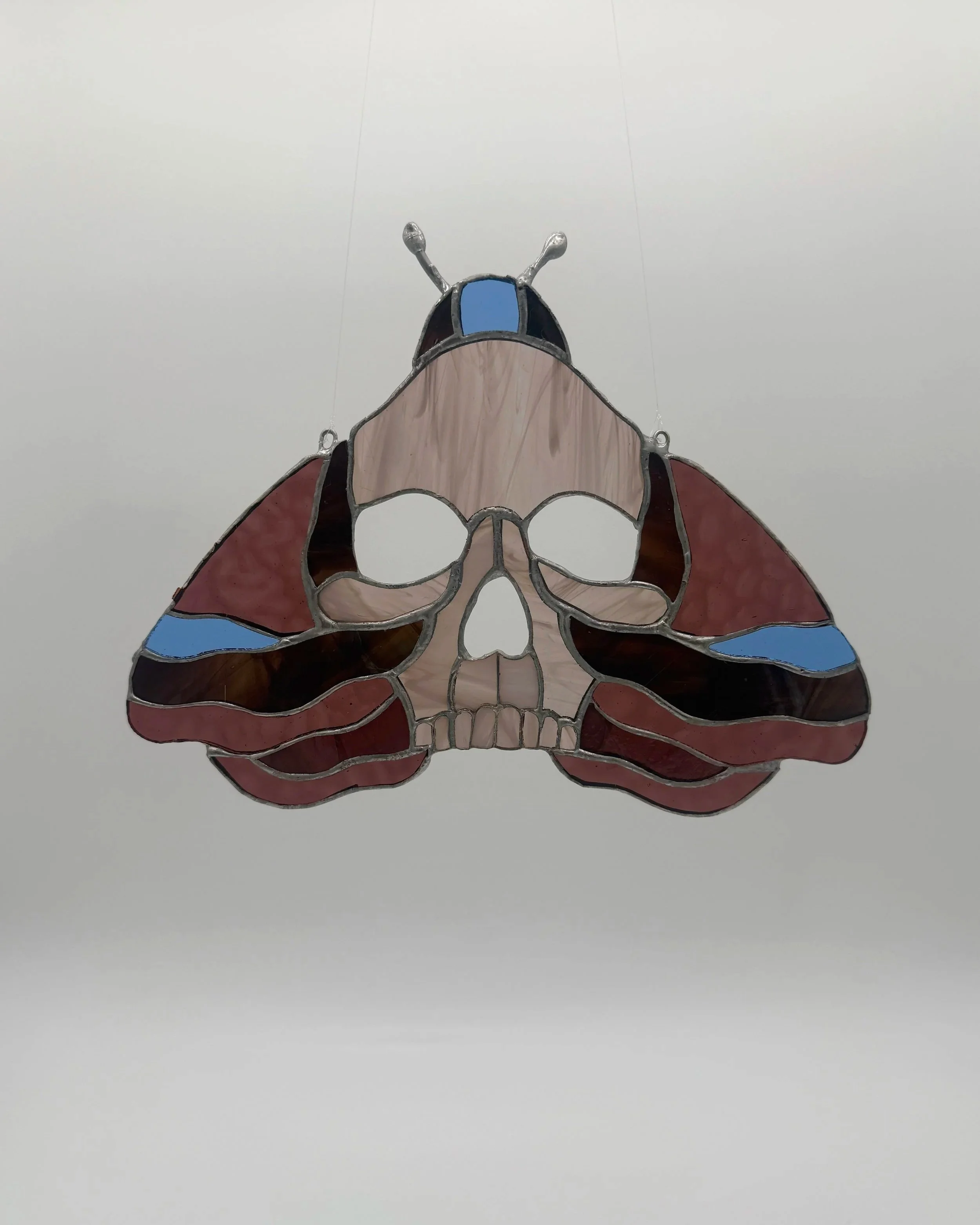 moth+2.jpg