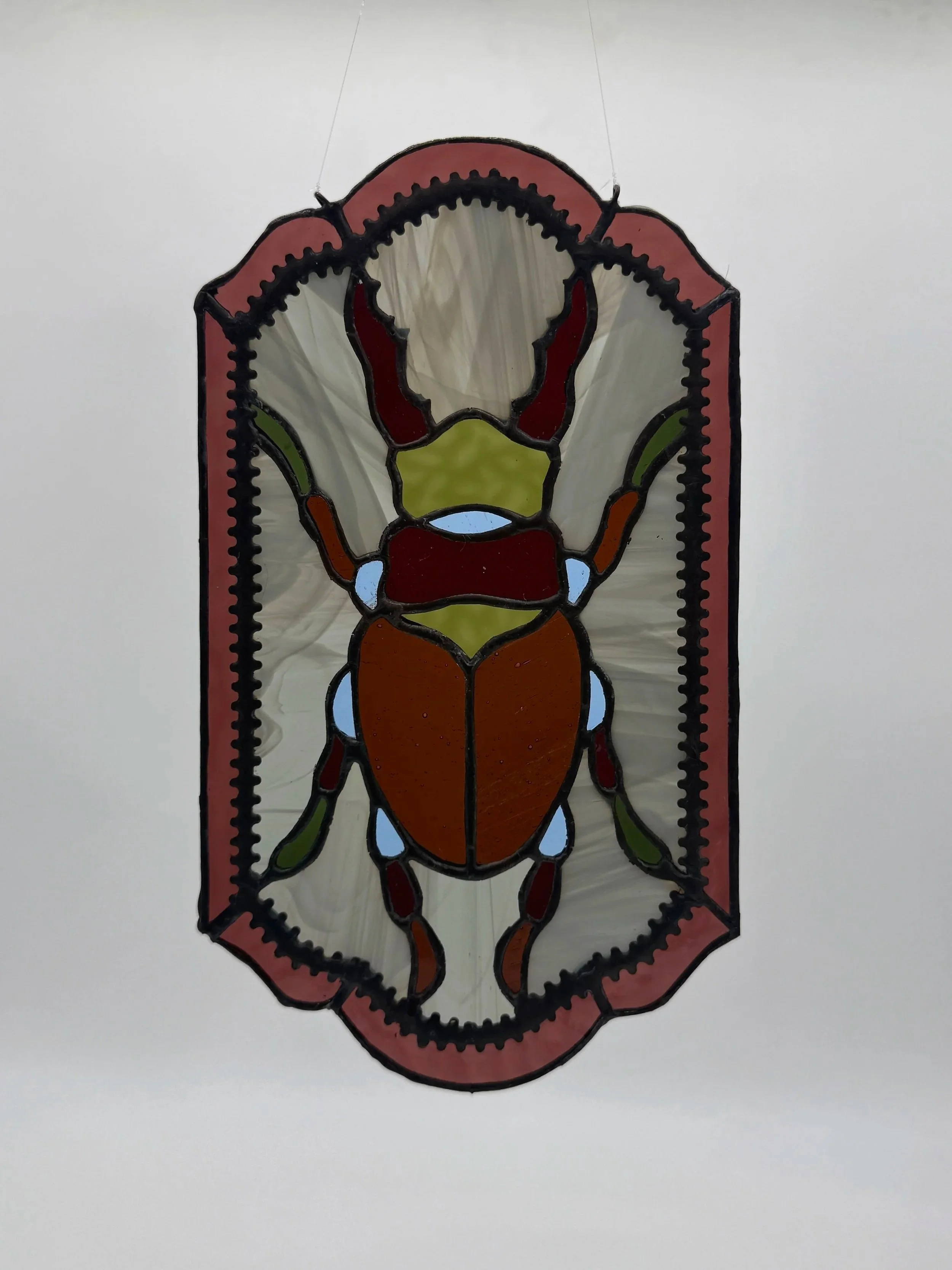 Stag Beetle