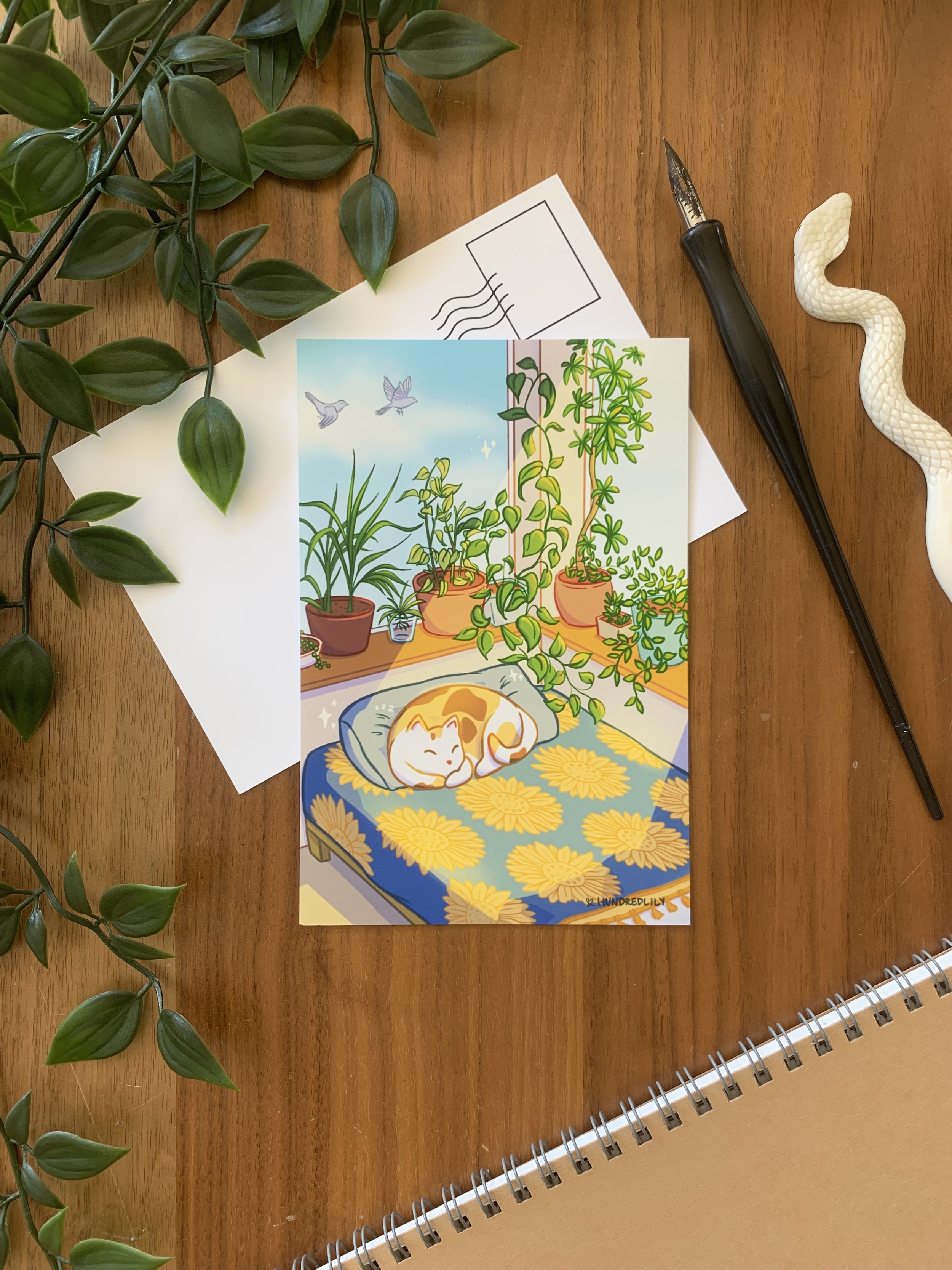 ipso postcard photo.jpeg