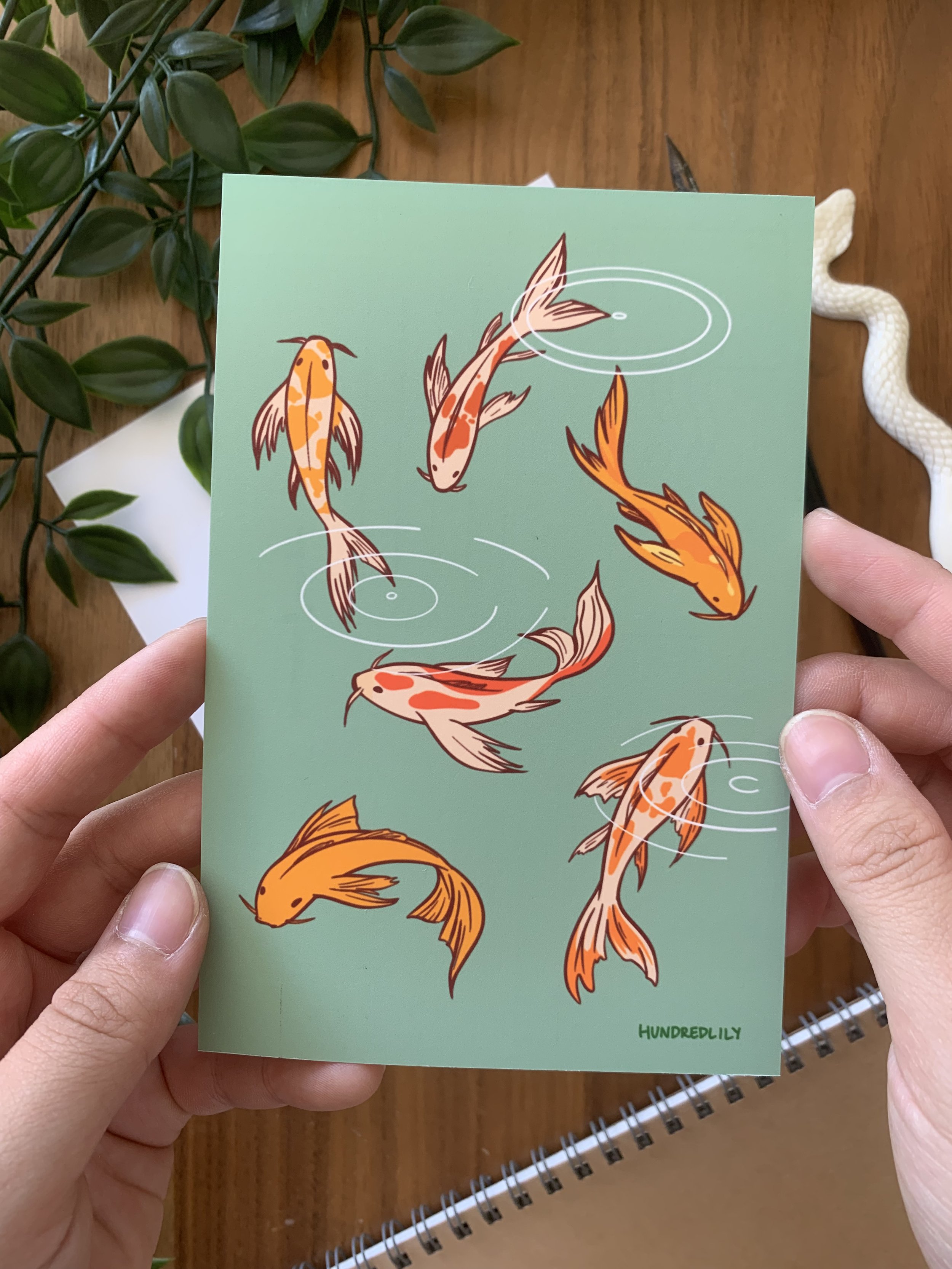 koi green postcard photo closeup.jpeg