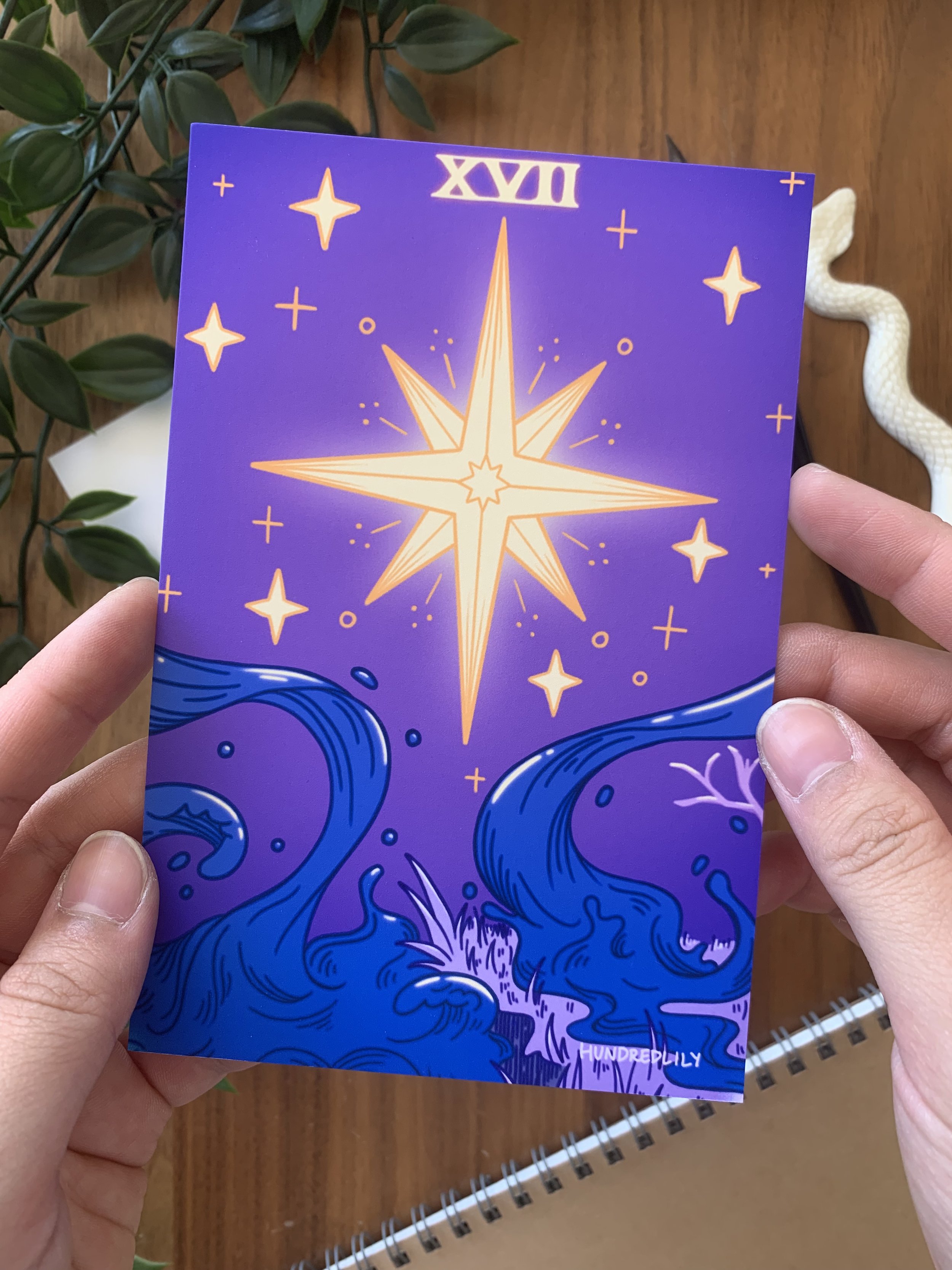 tarot star postcard photo closeup.jpeg