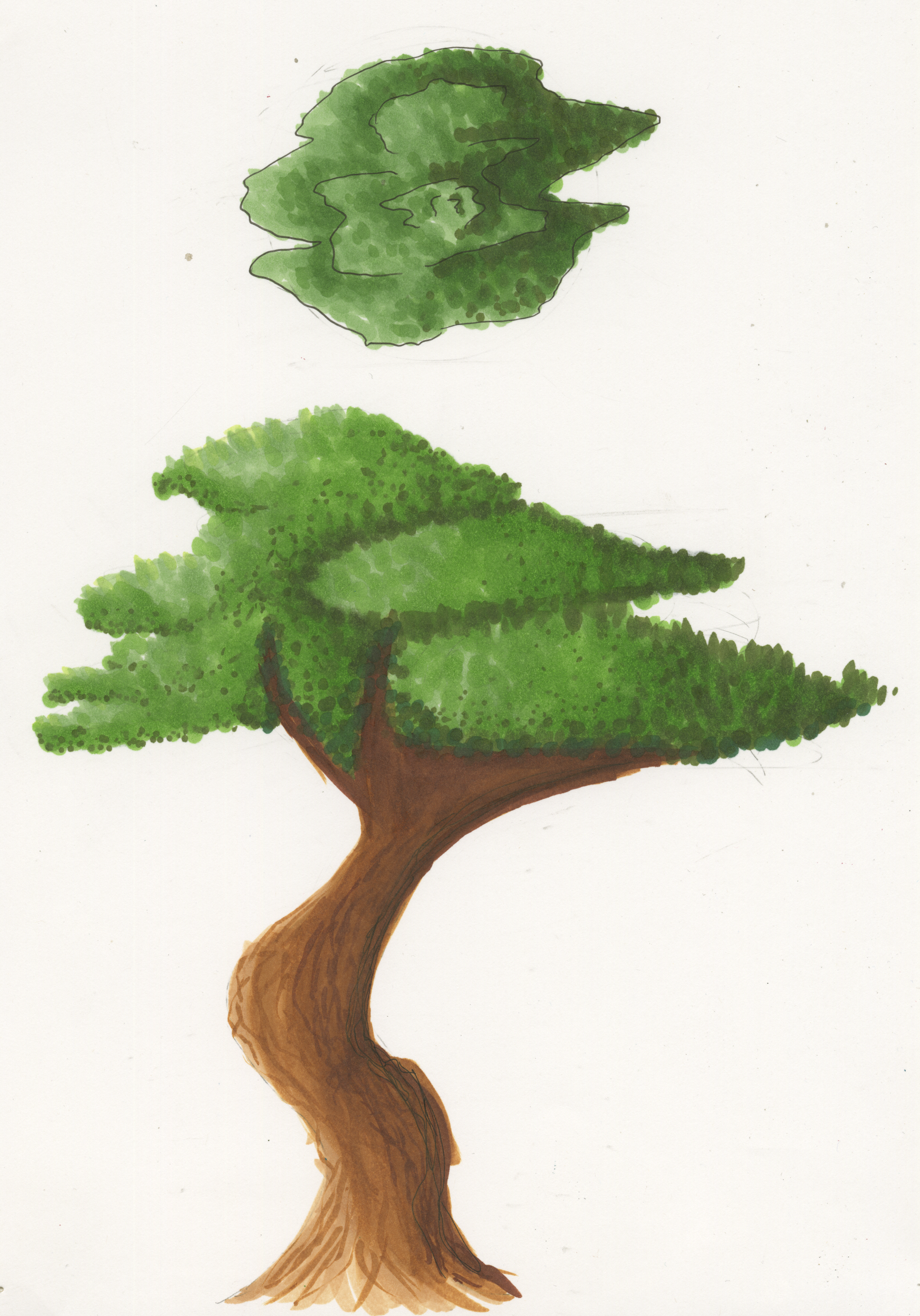 Trees 2.png