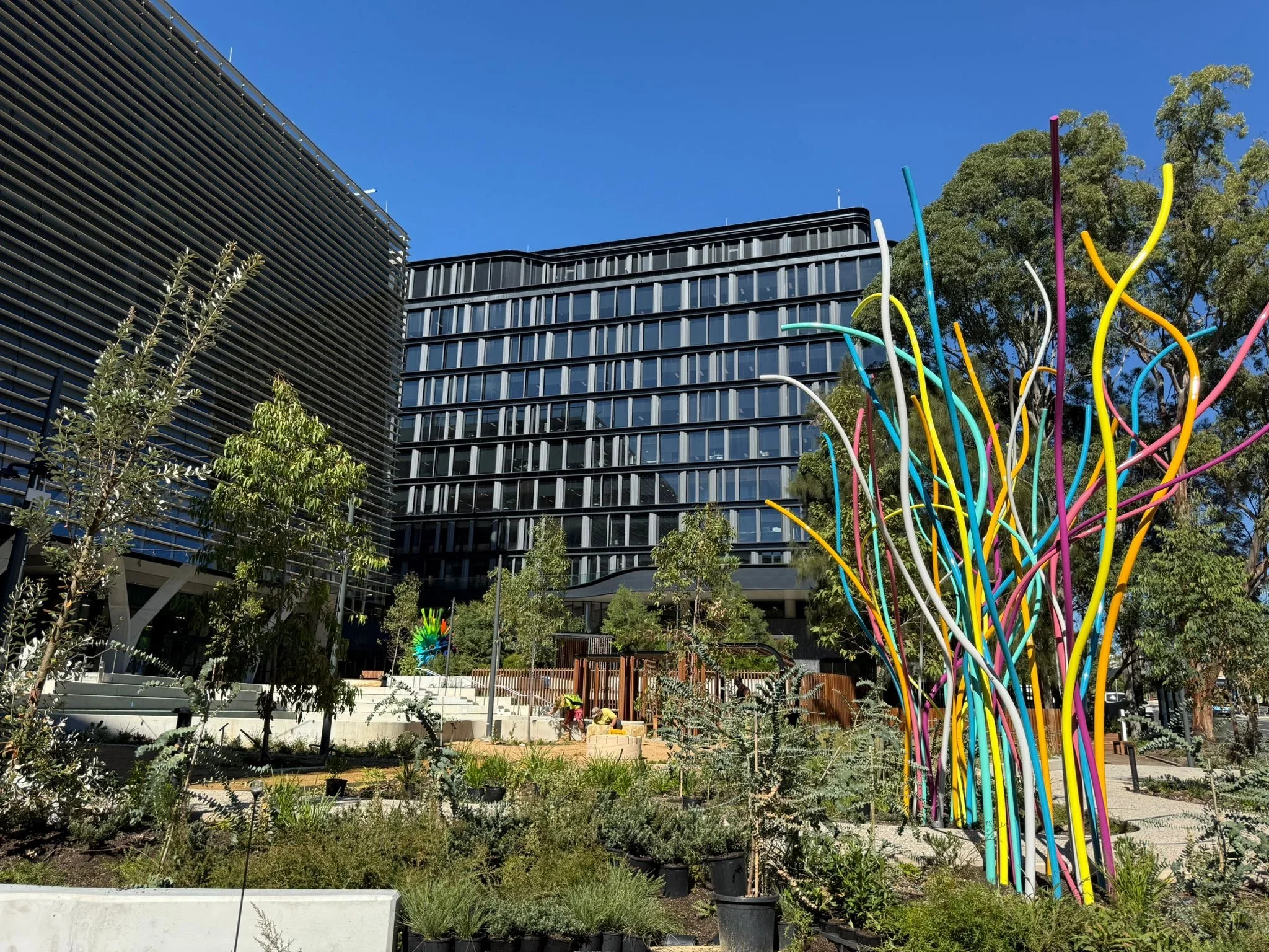 Healing Trees