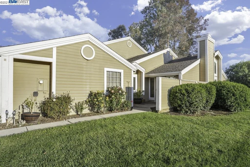 apple tree cmn home.jpg