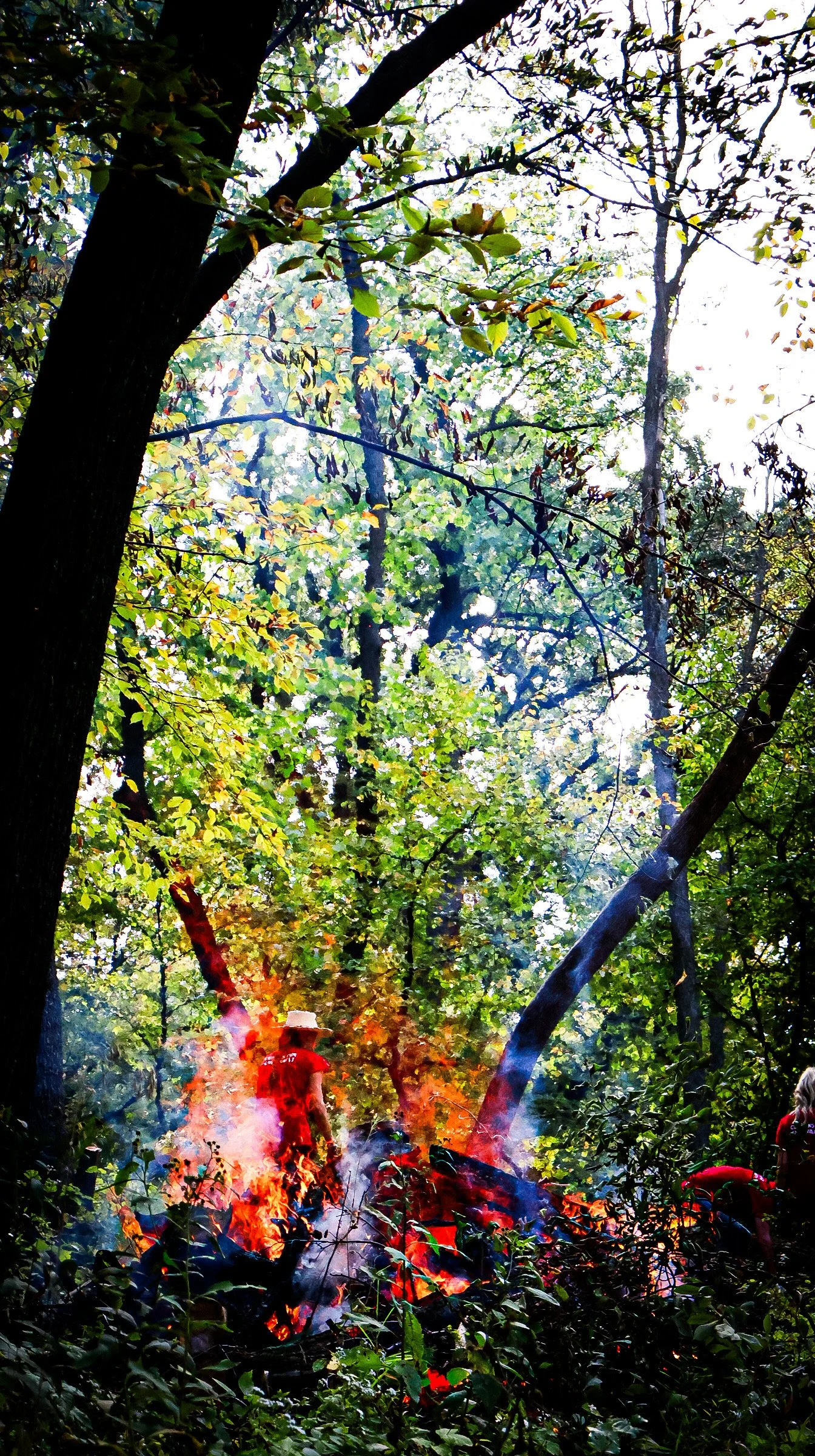 Bartenders Set Fontenelle Forest on Fire for a Good Cause.JPG