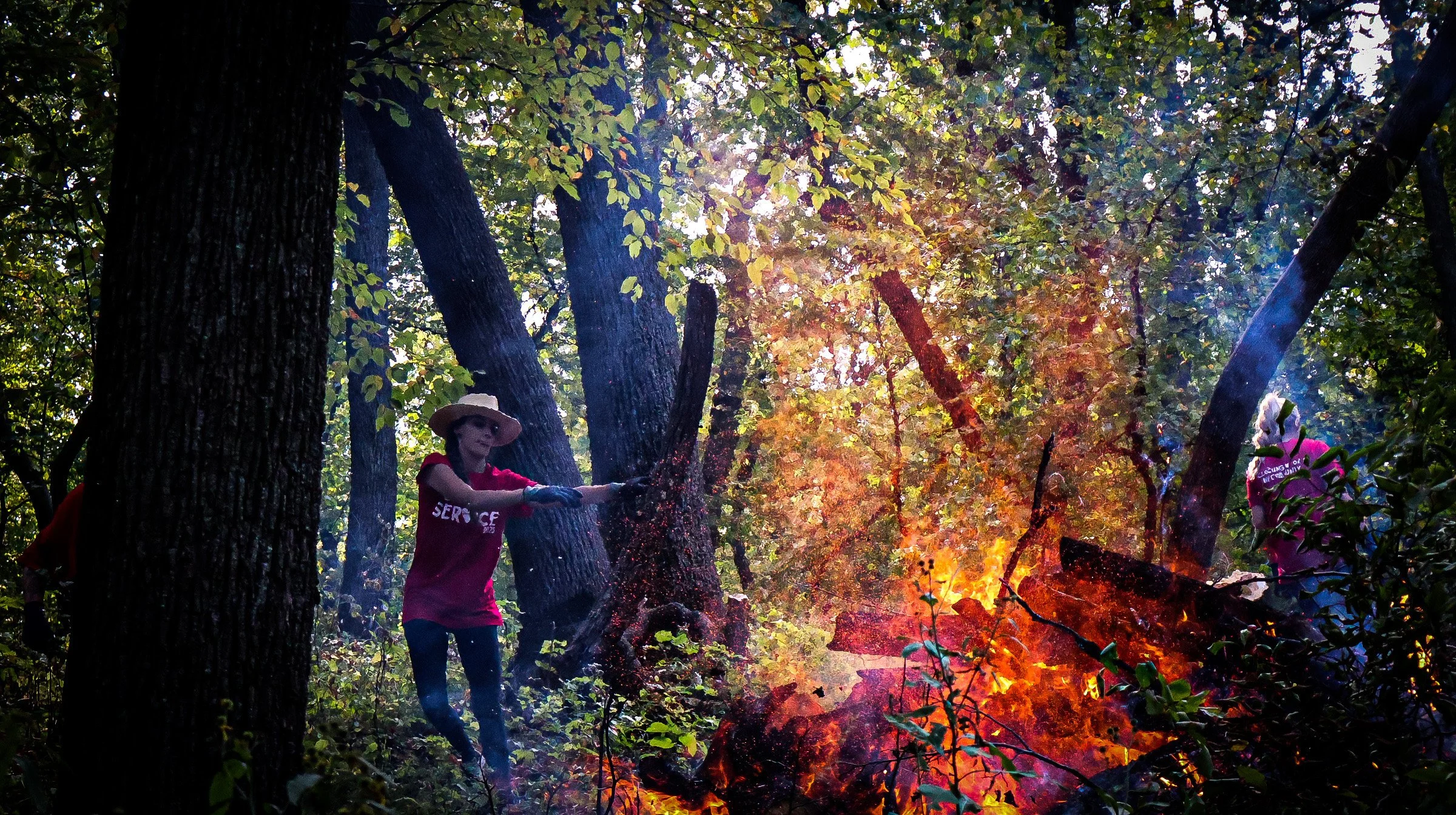 From Bar to Bonfire: Omaha Bartenders Help Clear the Forest.JPG