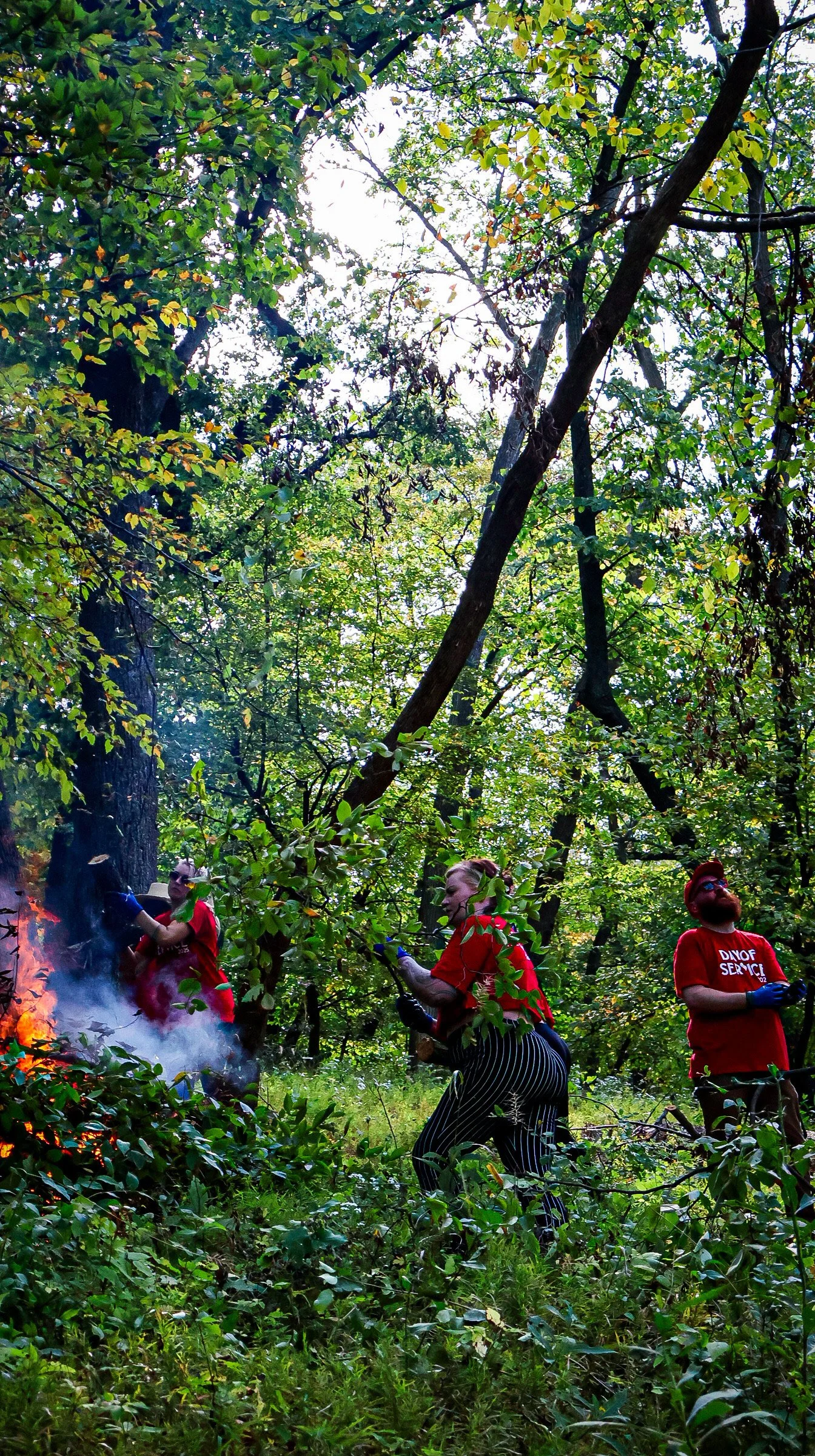From Cocktails to Conservation: Bars Help Burn Brush in Nebraska .JPG