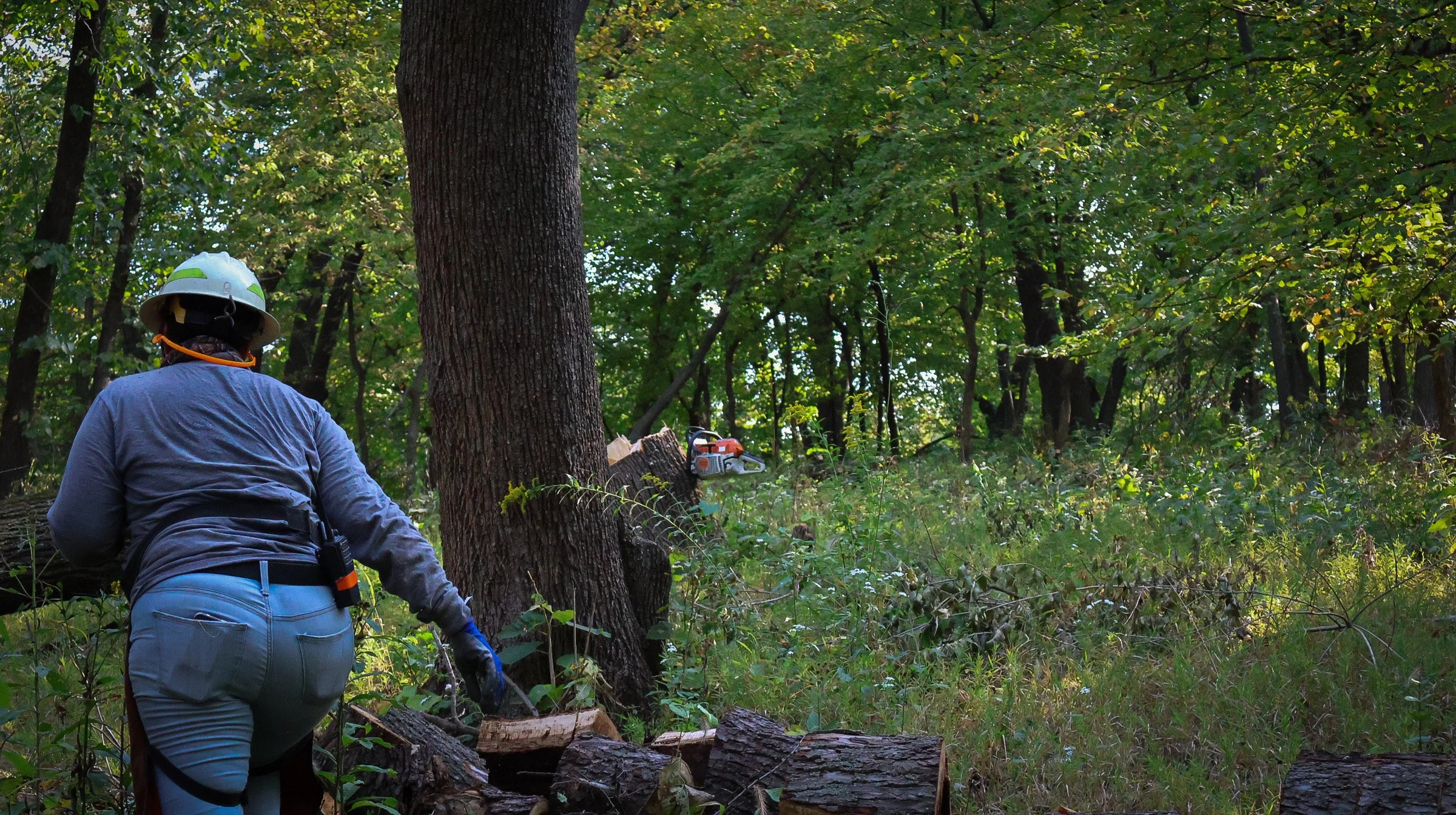 From Happy Hour to Habitat Fires: Omaha Bartenders in Action .JPG