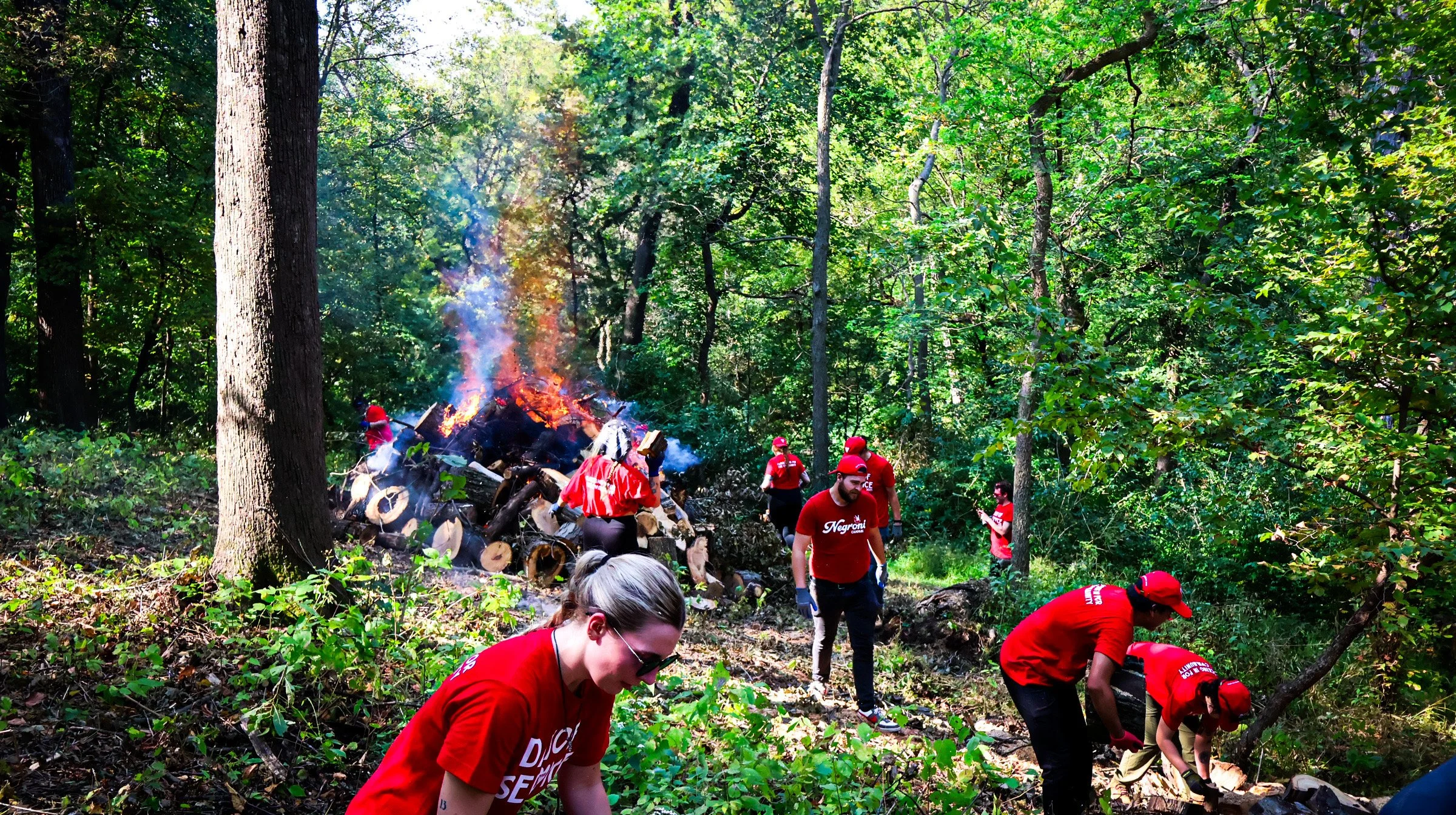 How Omaha Bars Cleared the Forest — One Burn Pile at a Time .JPG