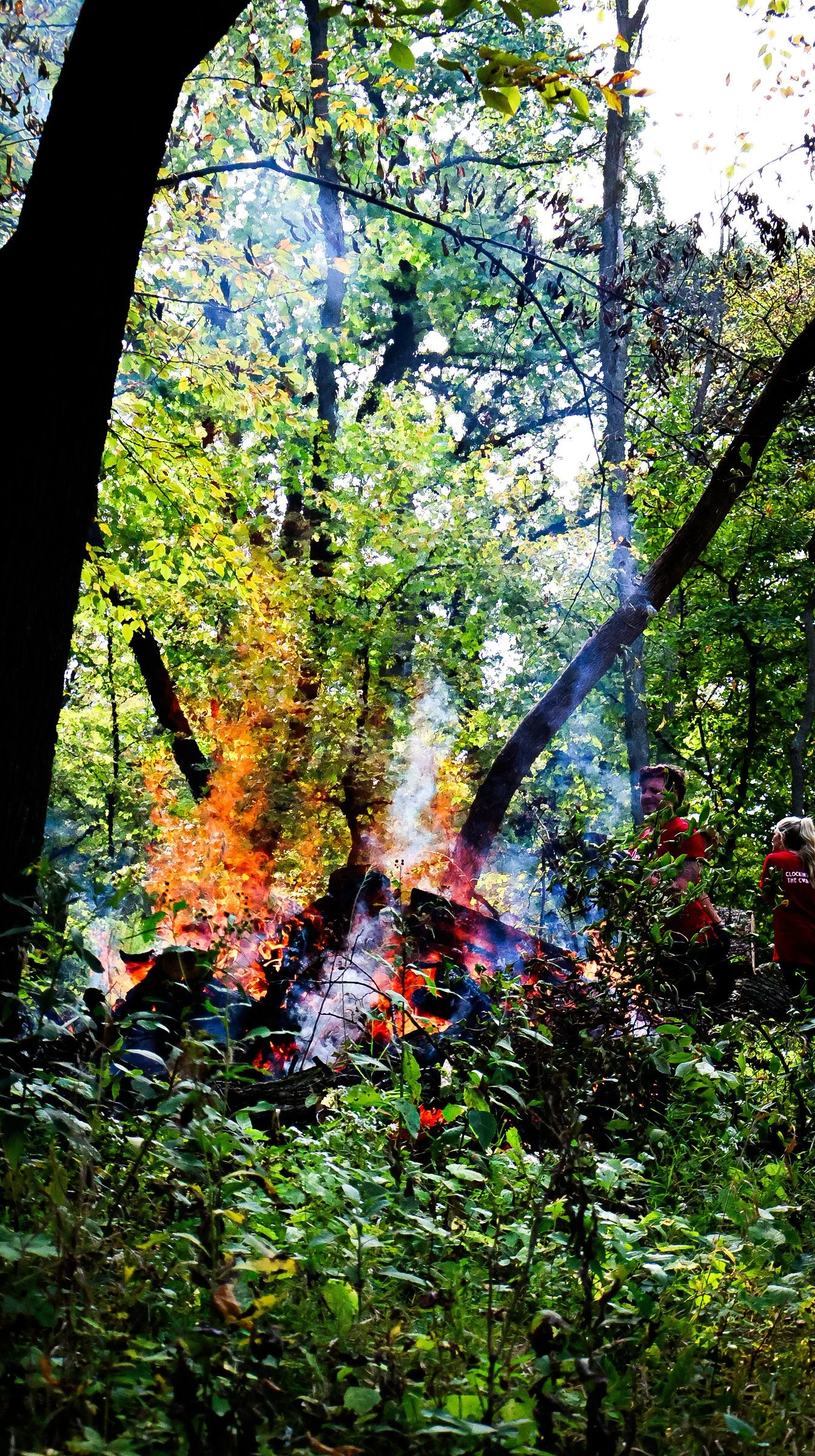 Omaha Bars Join Forces Controlled Burn at Fontenelle Forest for Campari Day of Service.JPG