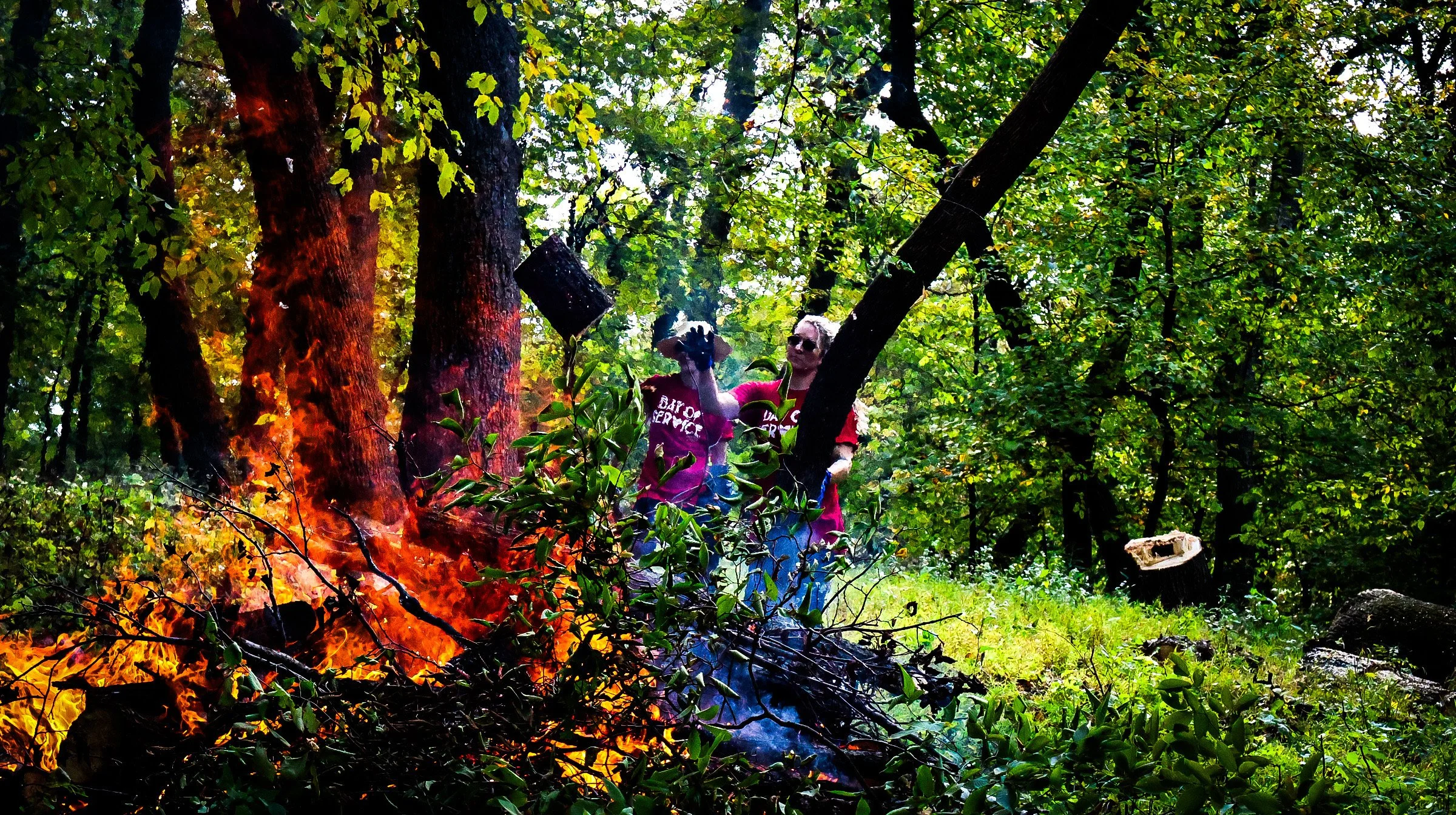 Why Omaha Bartenders Spent the Day Starting Fires in the Forest .JPG