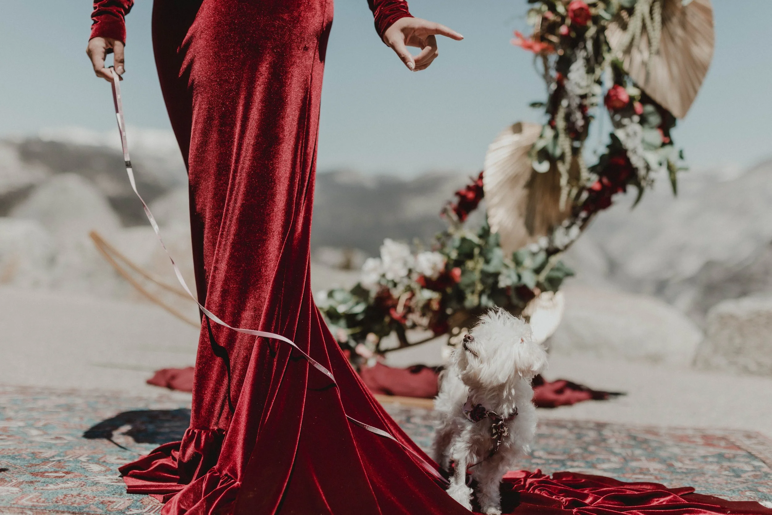 Chris_Alisha_Yosemite_Half_Dome_Elopement_AllThingsWild (88 of 341).jpg