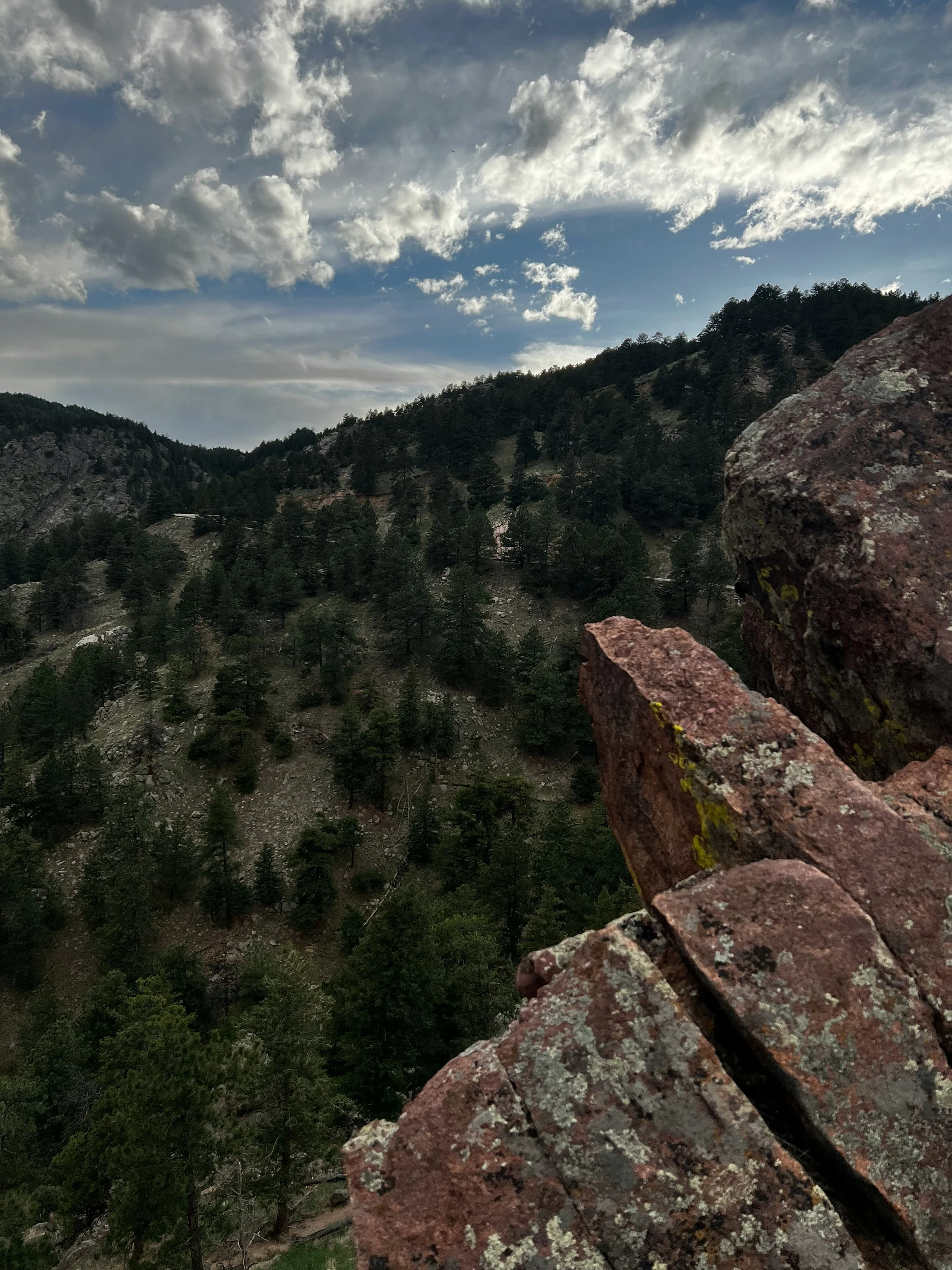 View of a forested mountain landscape with a partly cloudy sky, seen from a rocky outcrop with reddish rocks covered in patches of lichen.
