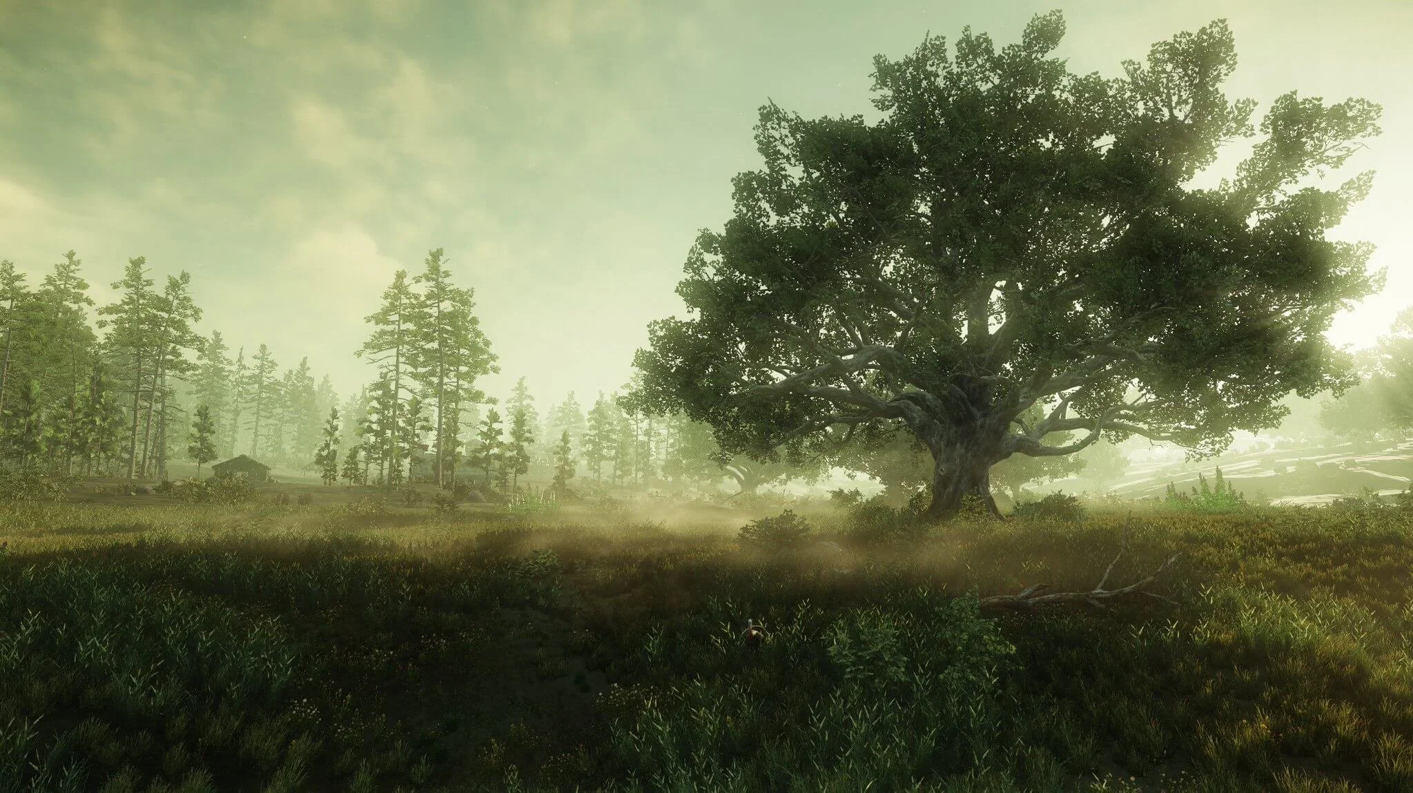 Bow — New World Builds, Season 6 Builds , Guides & Info