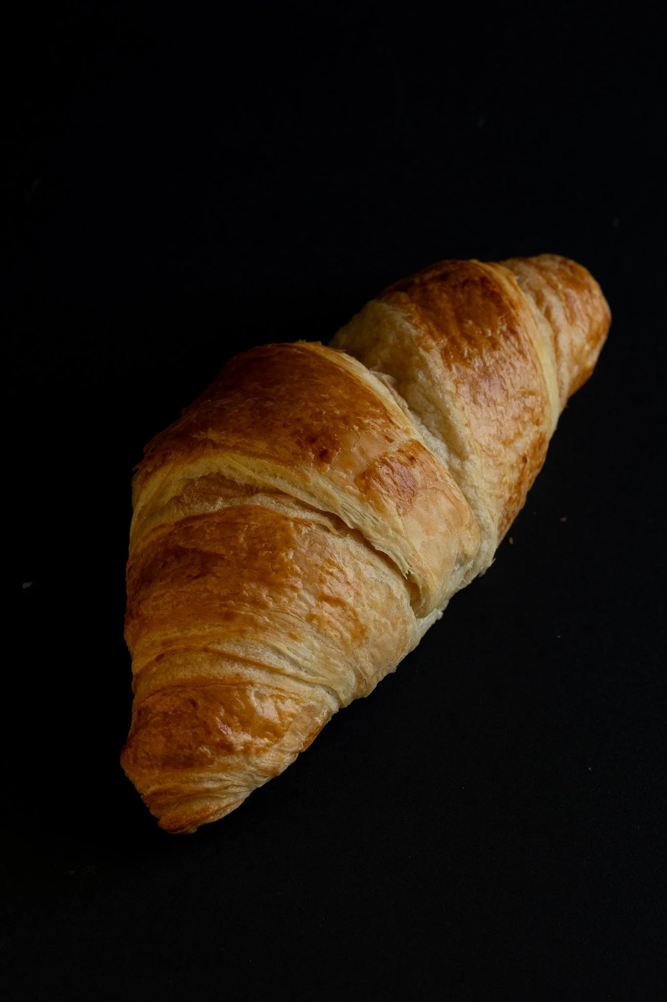 _31A8380.jpg