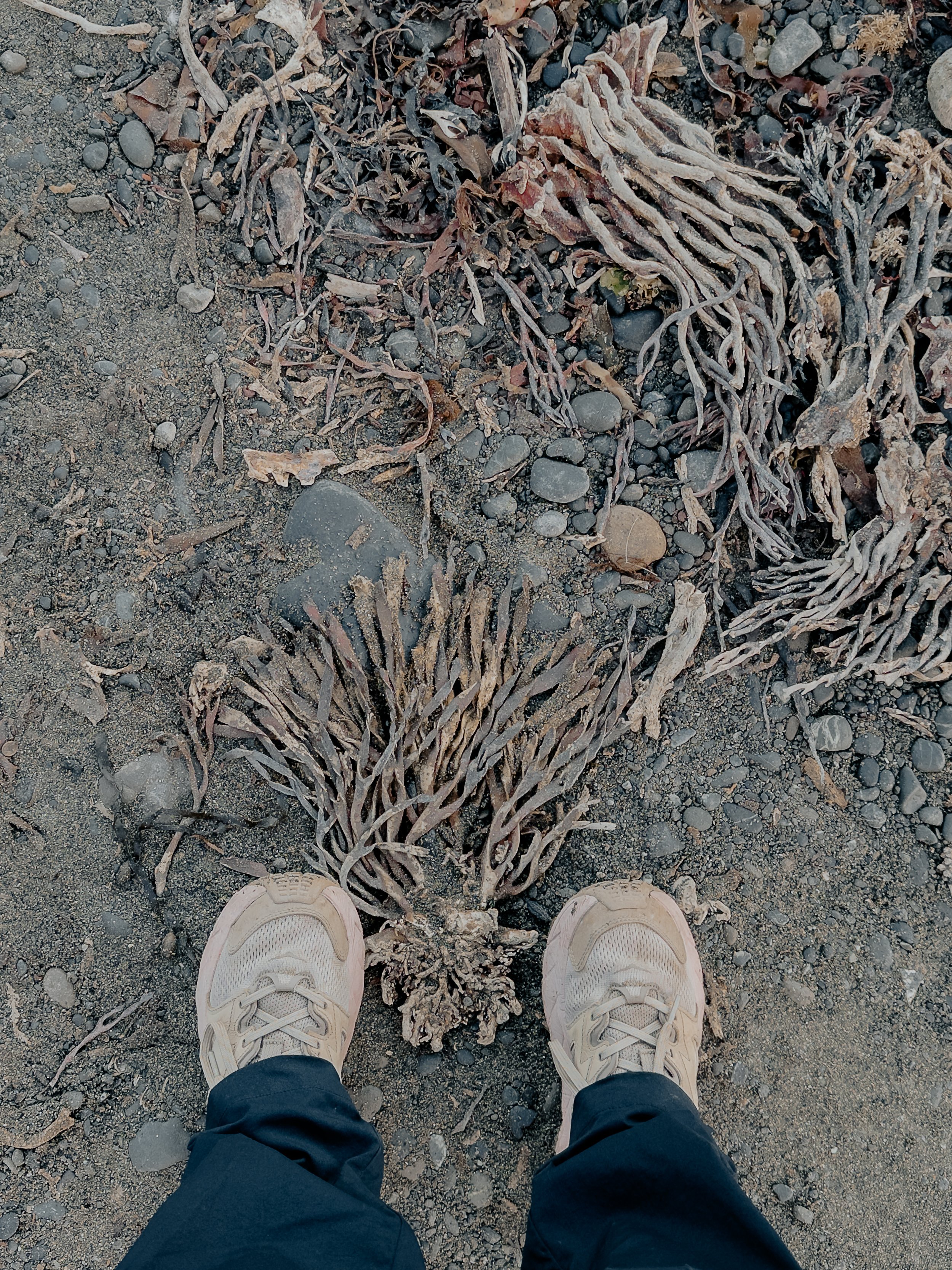 _001-68.jpg