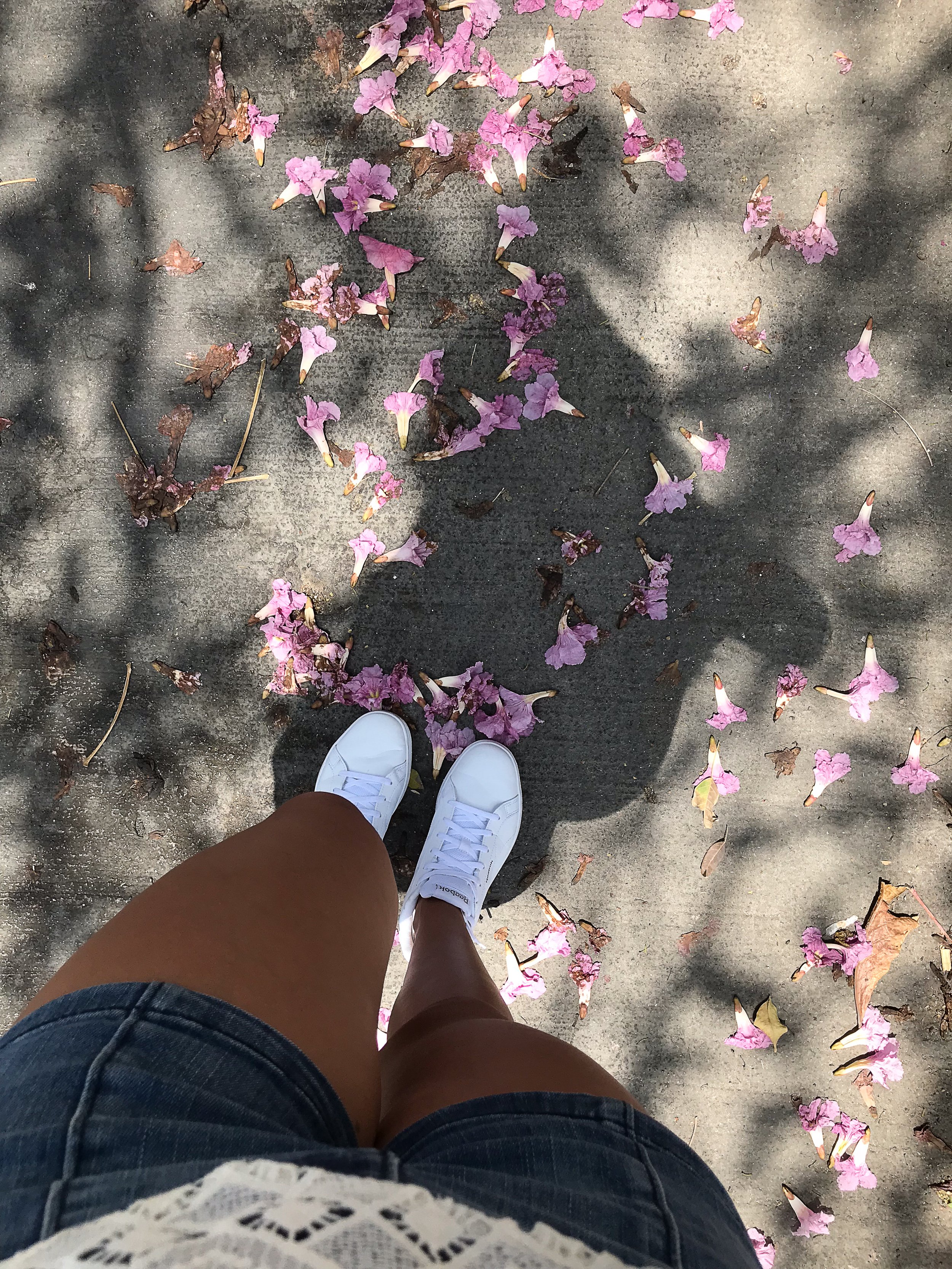 _001-101.jpg