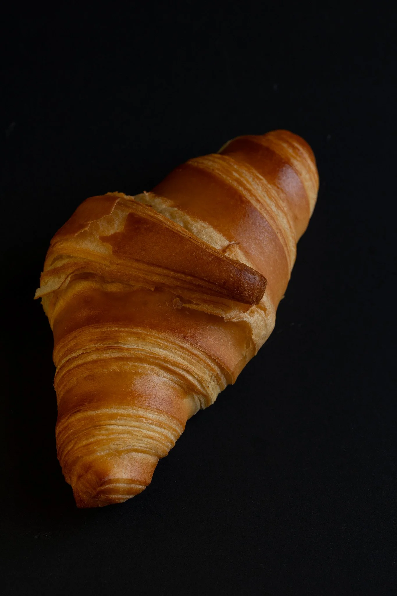 _31A0045.jpg