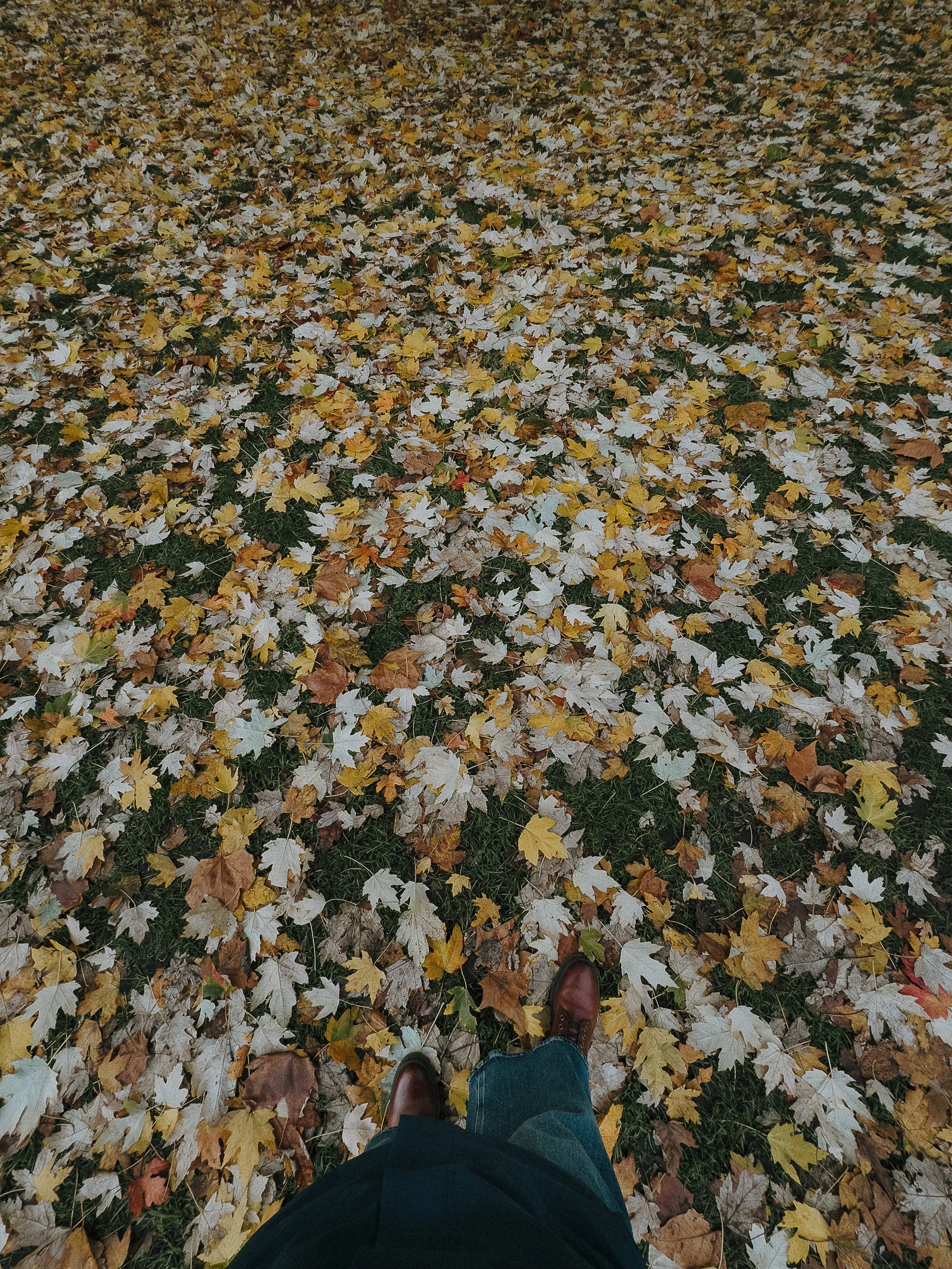 _001-144.jpg