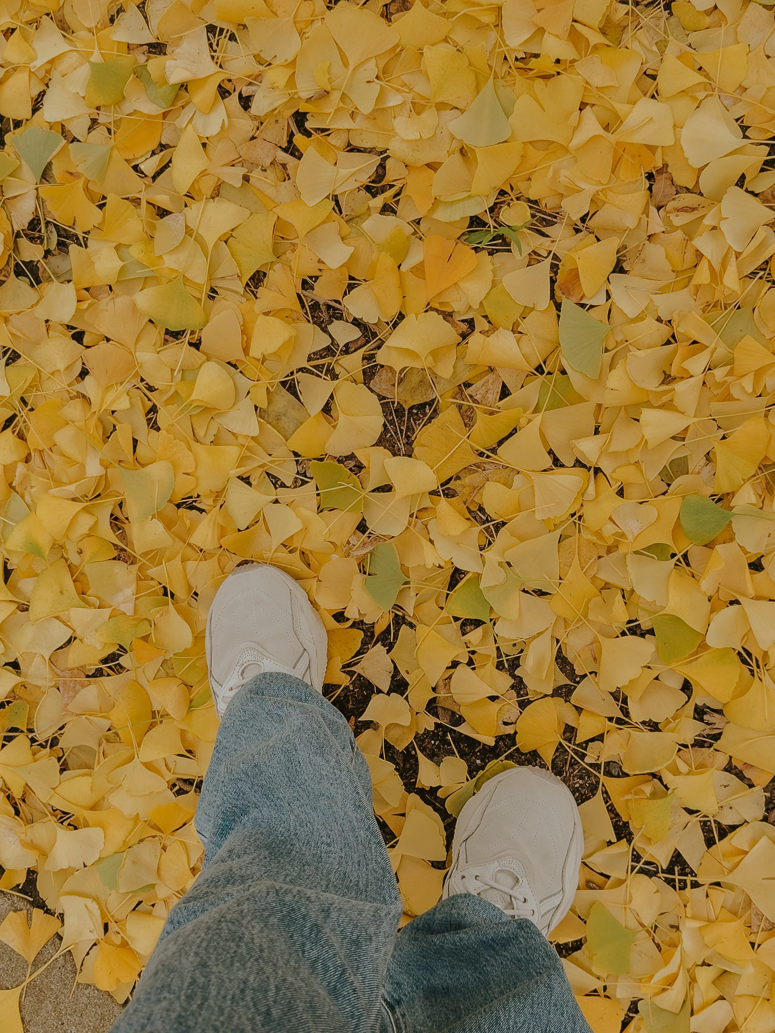 _001-66.jpg