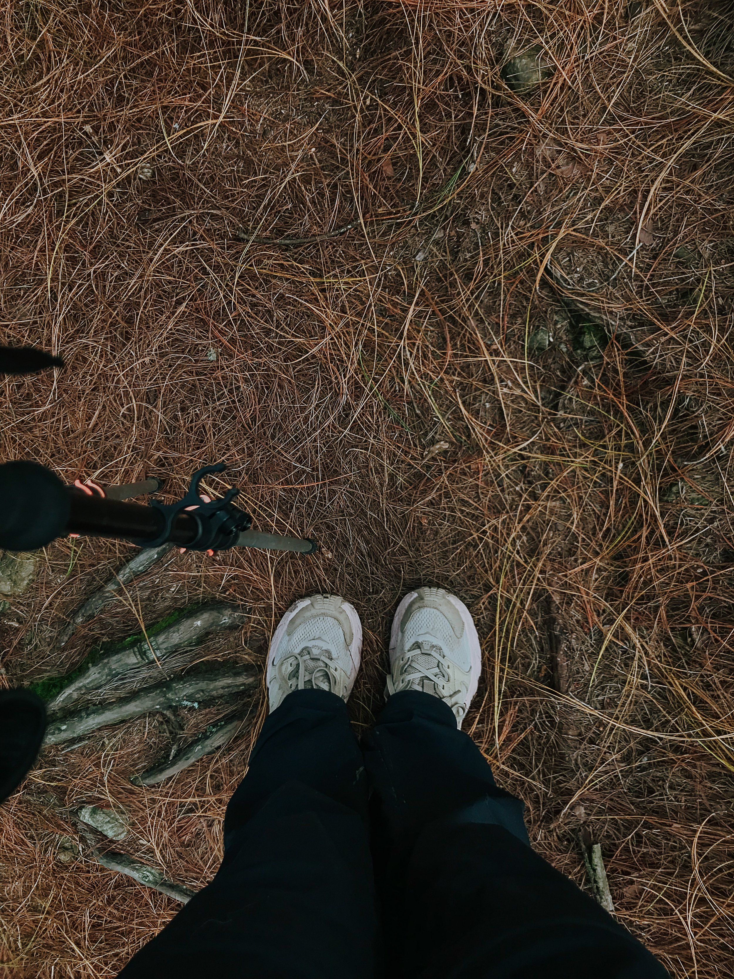 _001-63.jpg