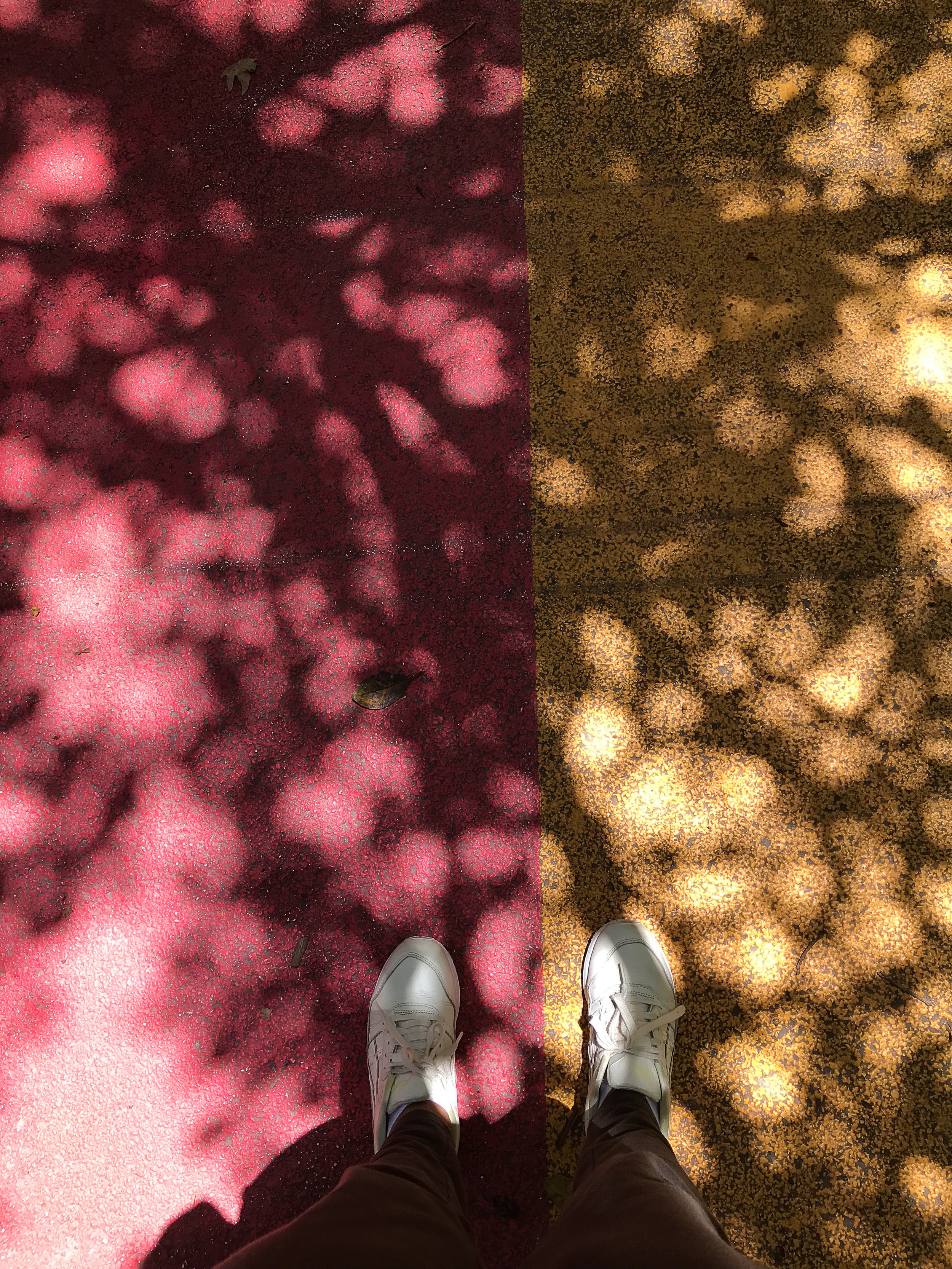 _001-81.jpg