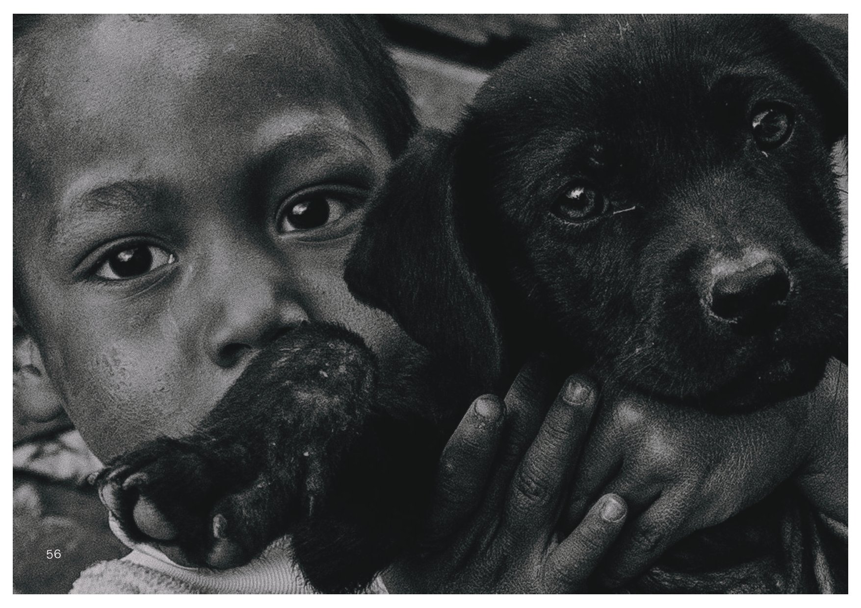 Perros y Gatos_final_compressed-2 2_page-0004.jpg