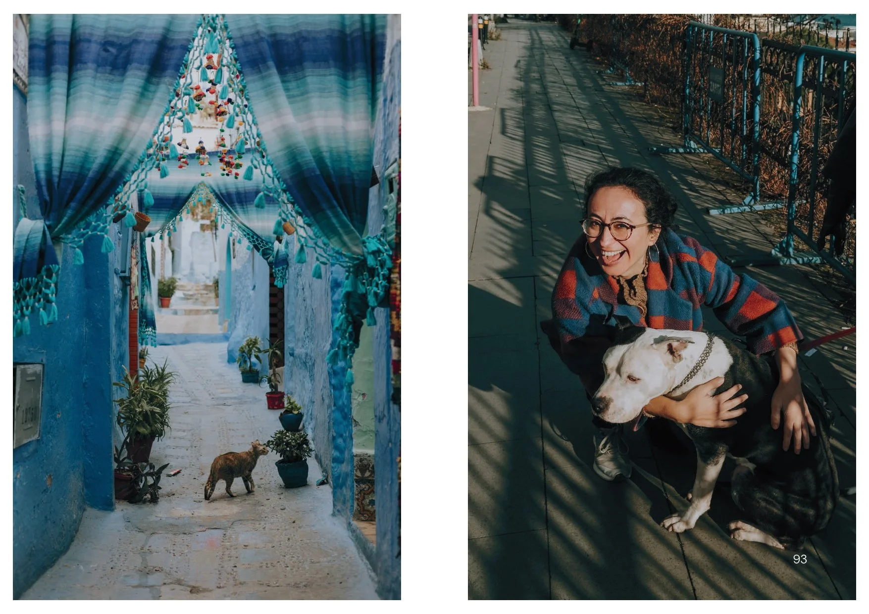Perros y Gatos_final_compressed-2 2_page-0009.jpg